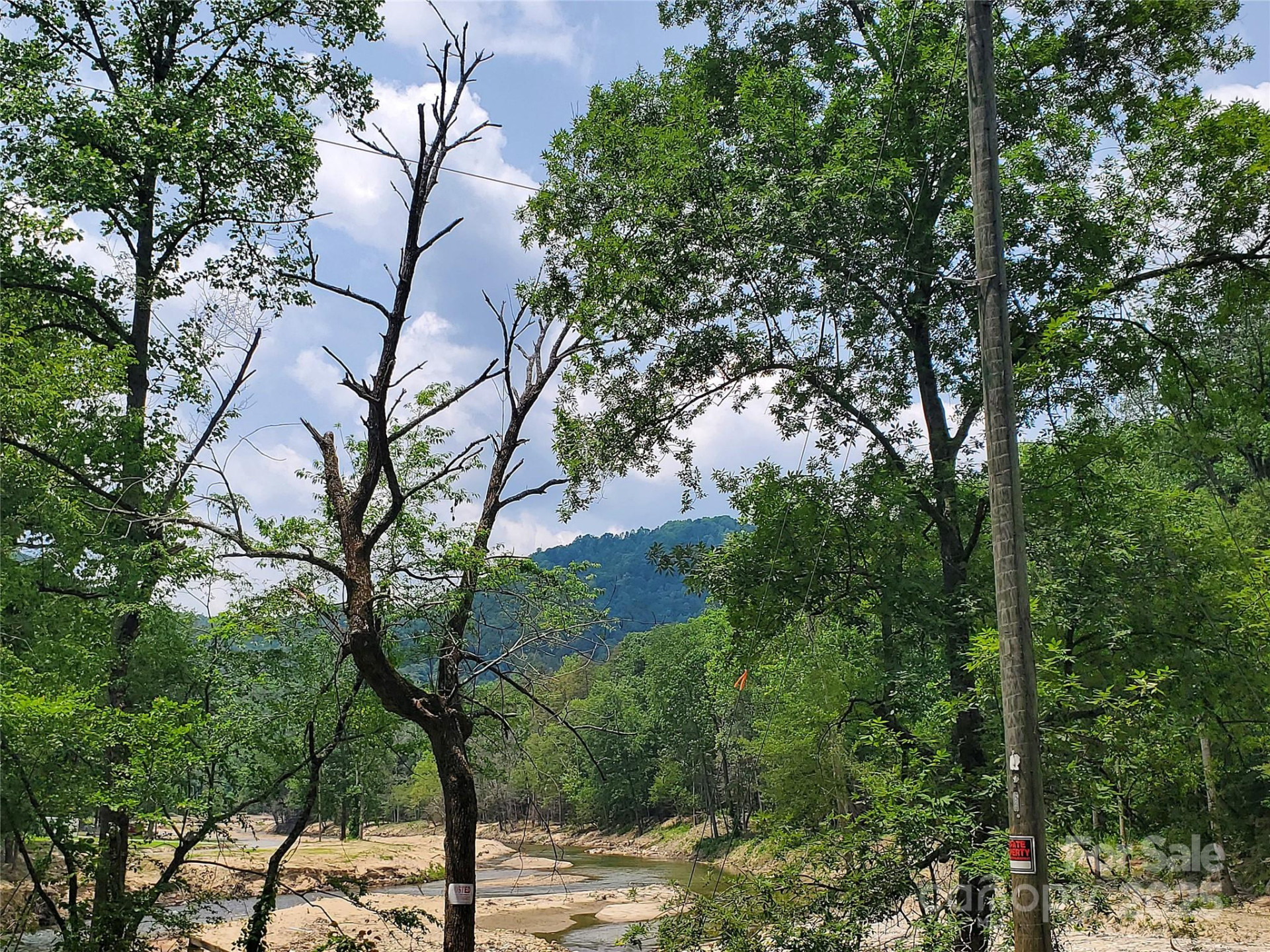 000 Green River Cove Road - Photo 9