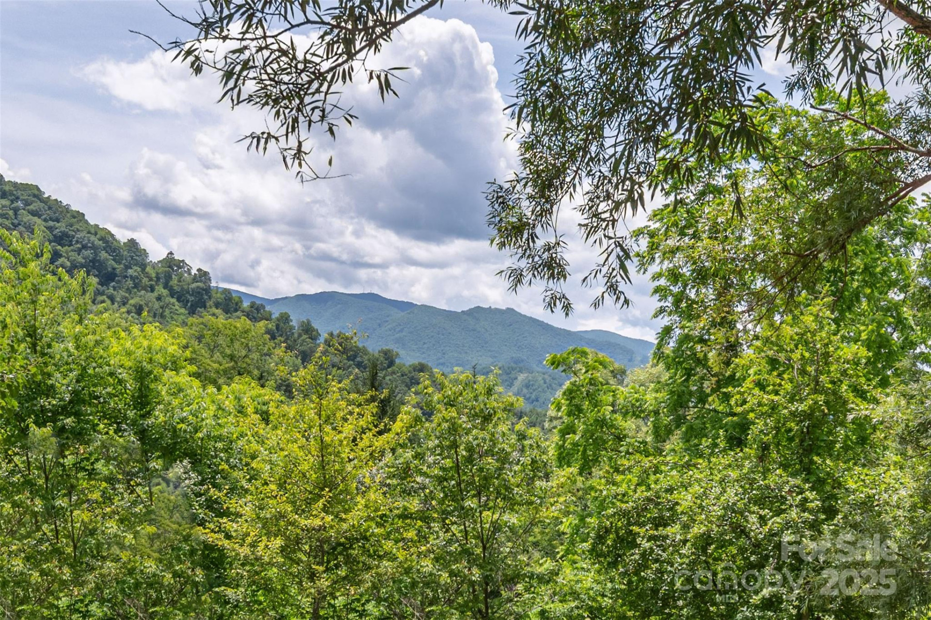 495 Courtney Lane - Photo 16