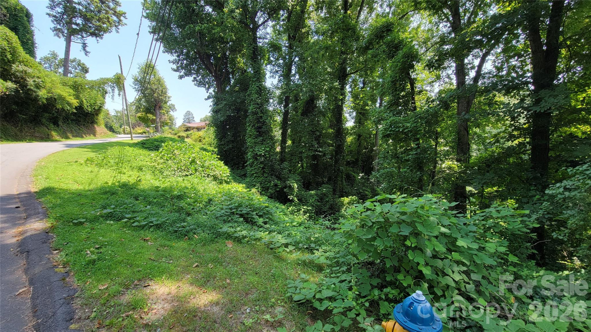 160 Cleveland Road - Photo 16