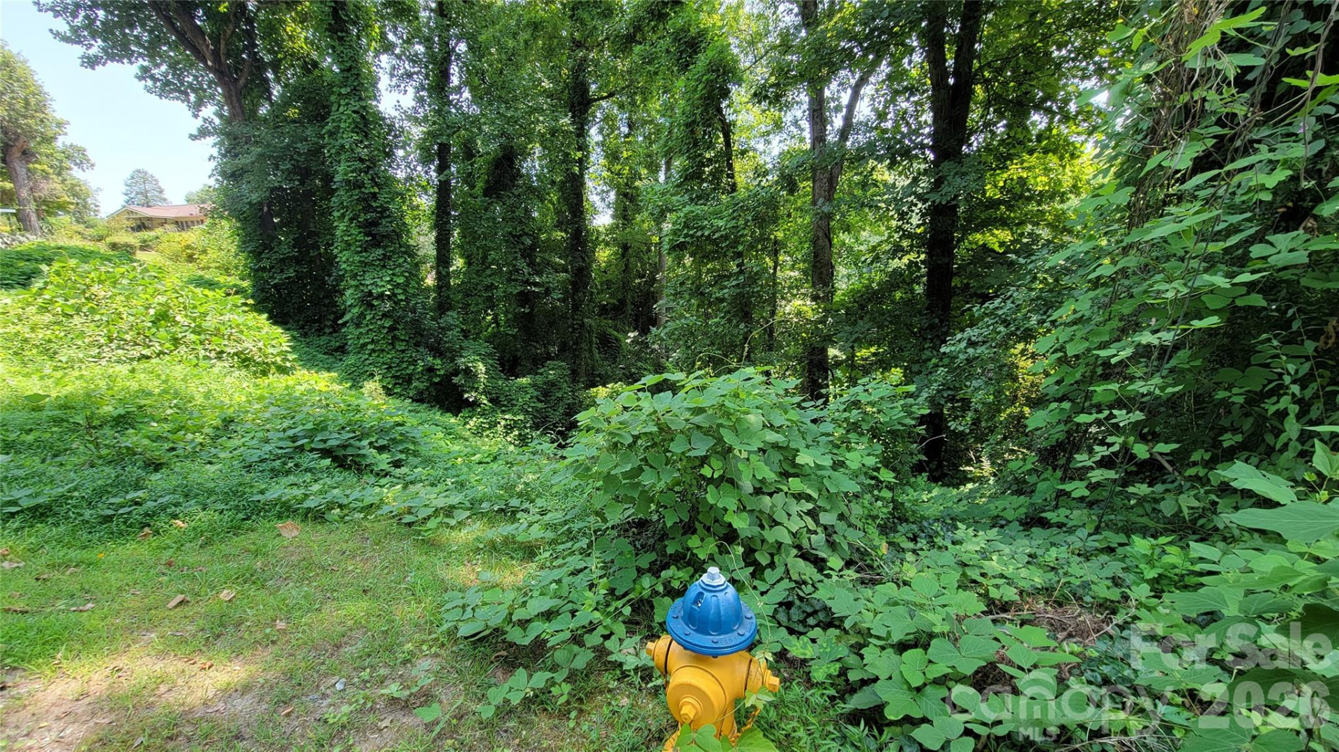 160 Cleveland Road - Photo 23