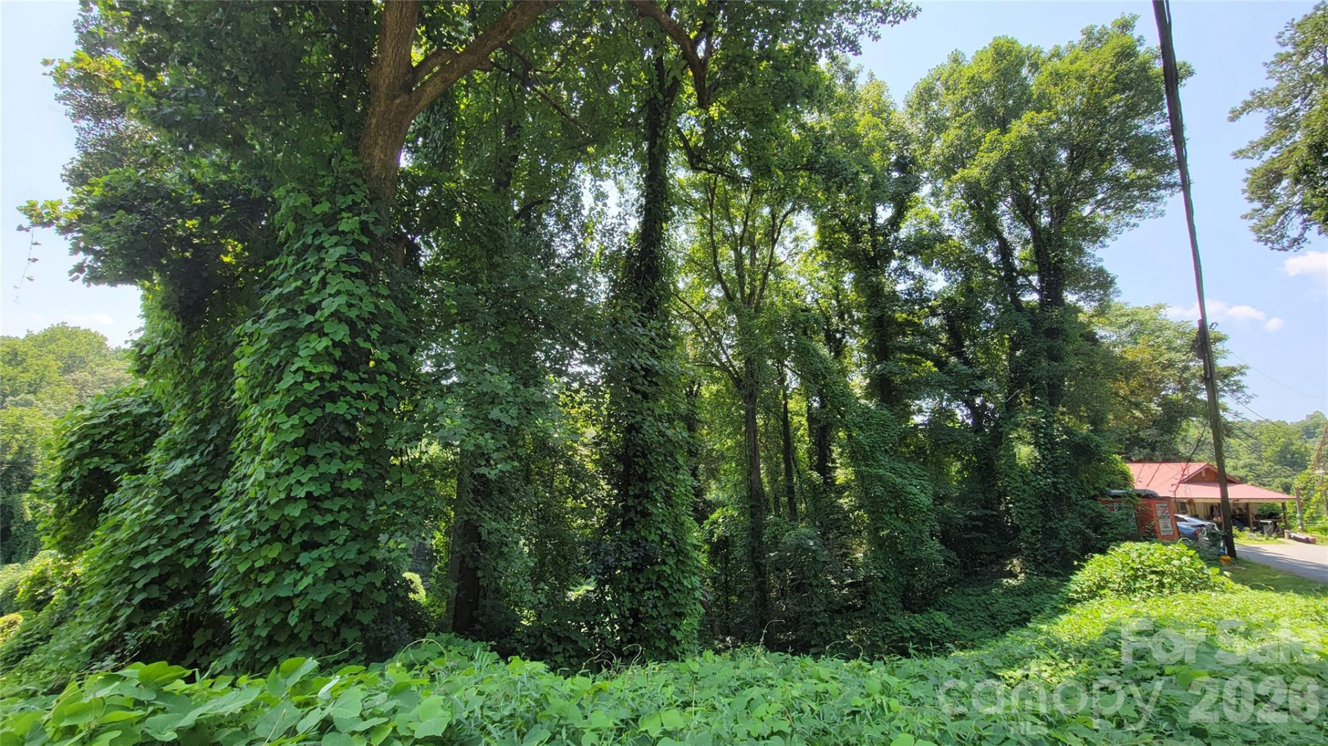 160 Cleveland Road - Photo 32