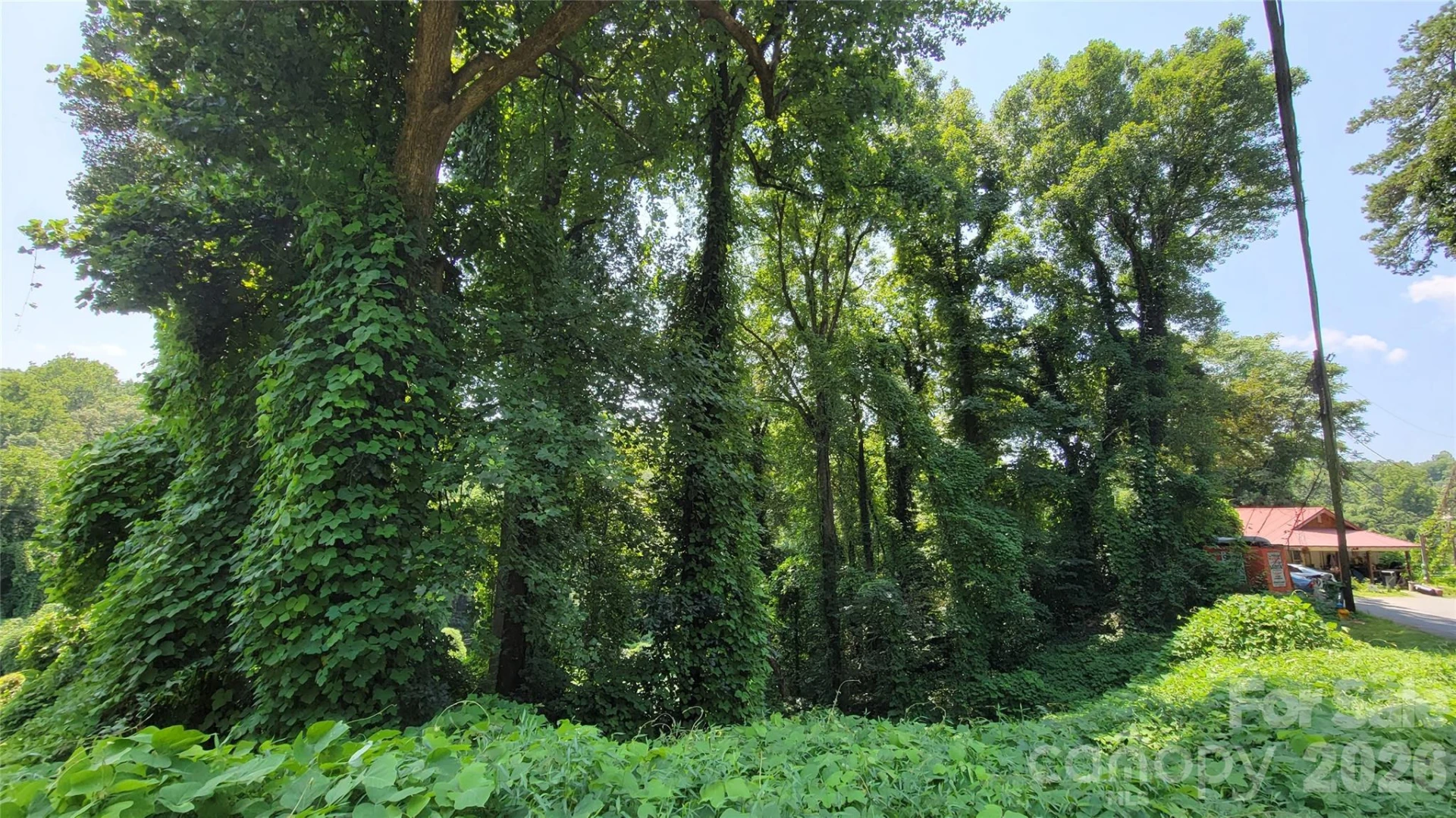 160 Cleveland Road - Photo 32
