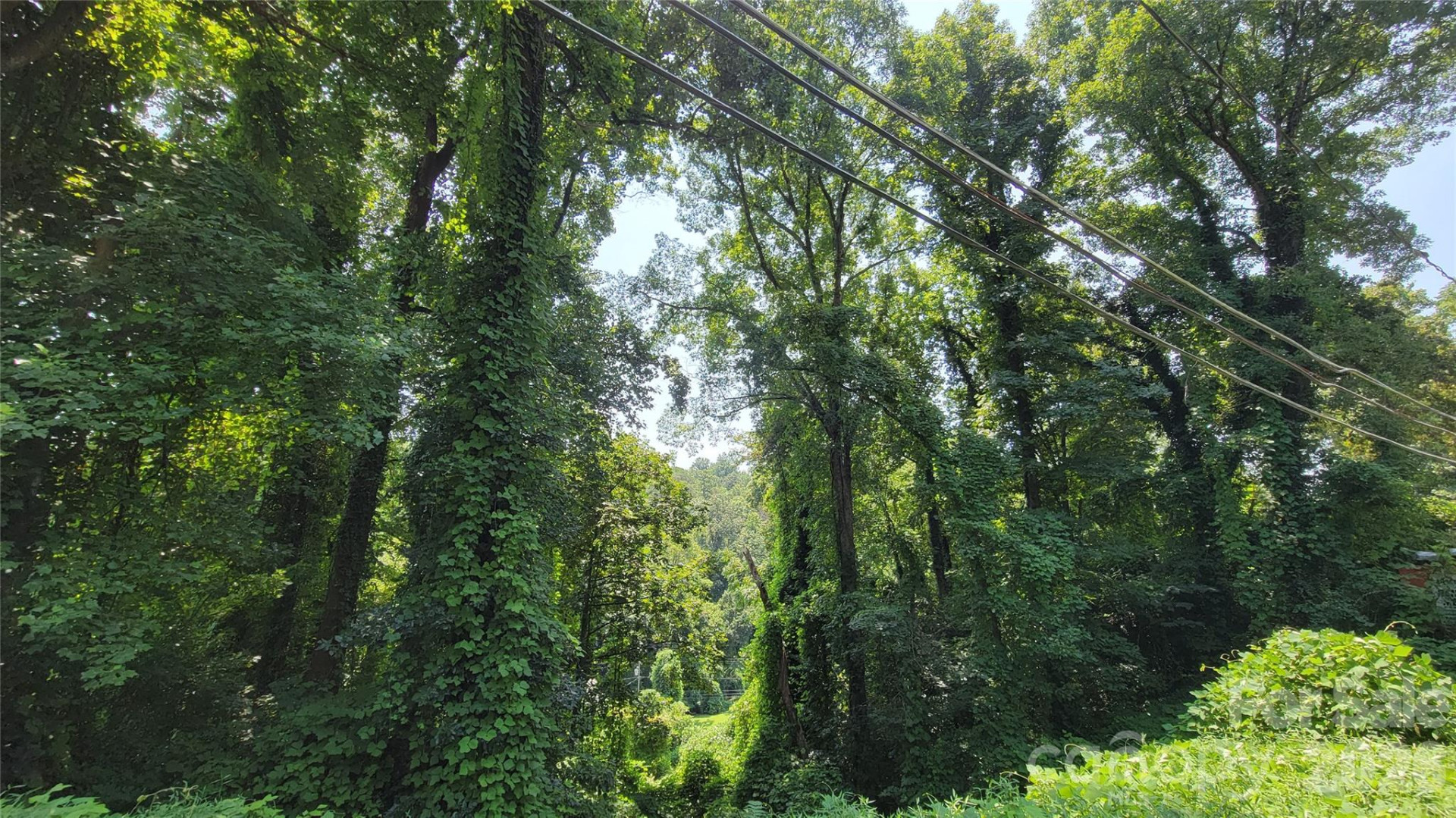 160 Cleveland Road - Photo 34