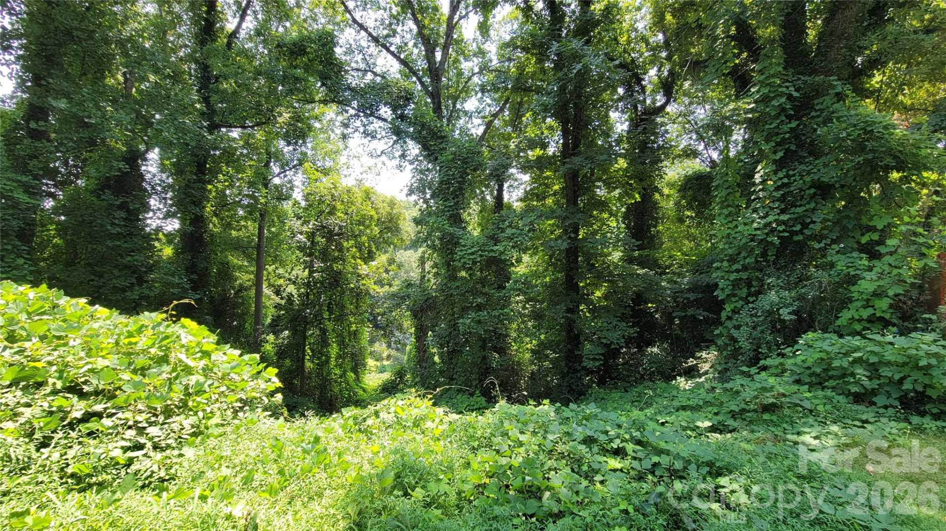 160 Cleveland Road - Photo 35