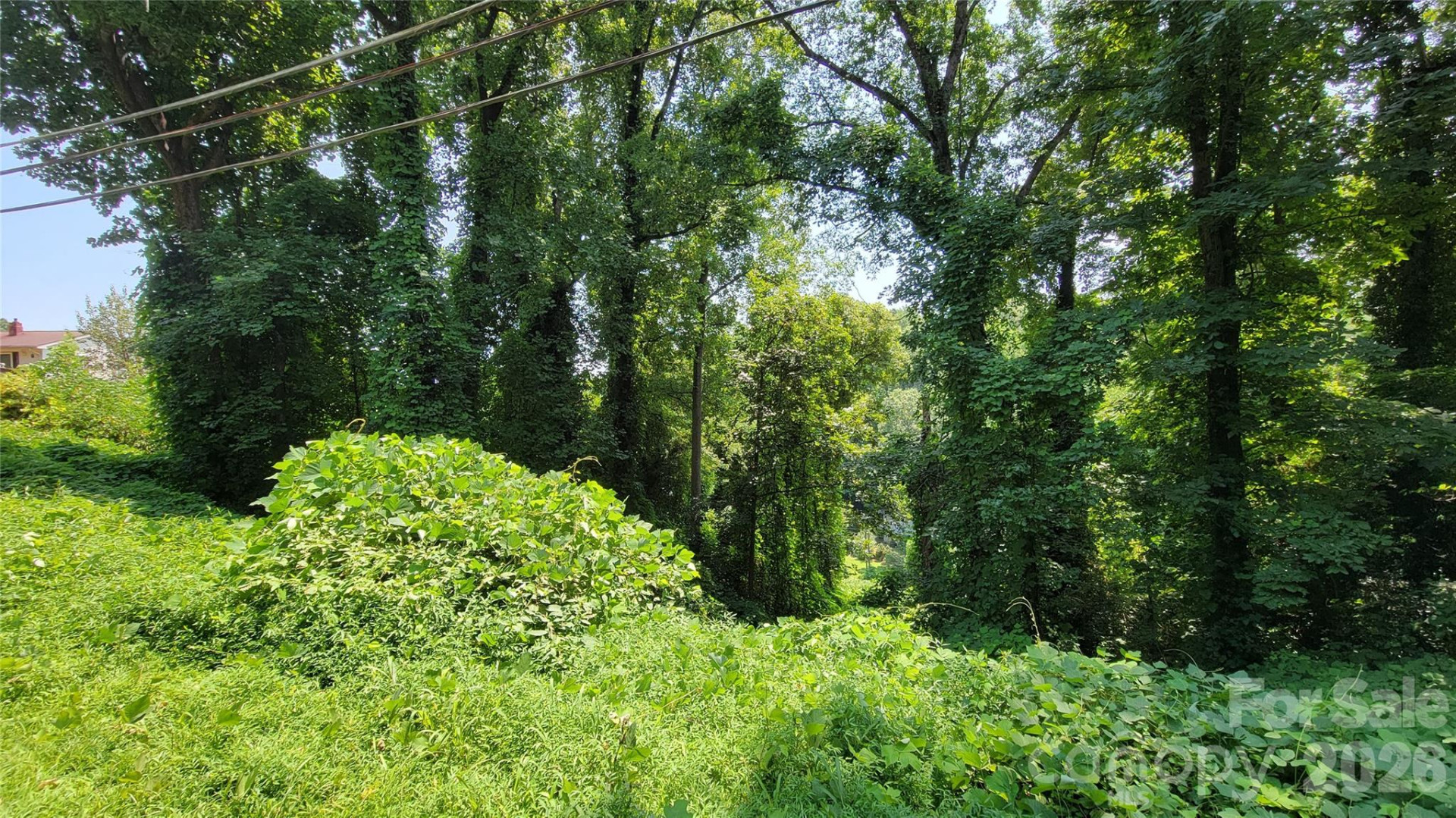 160 Cleveland Road - Photo 36