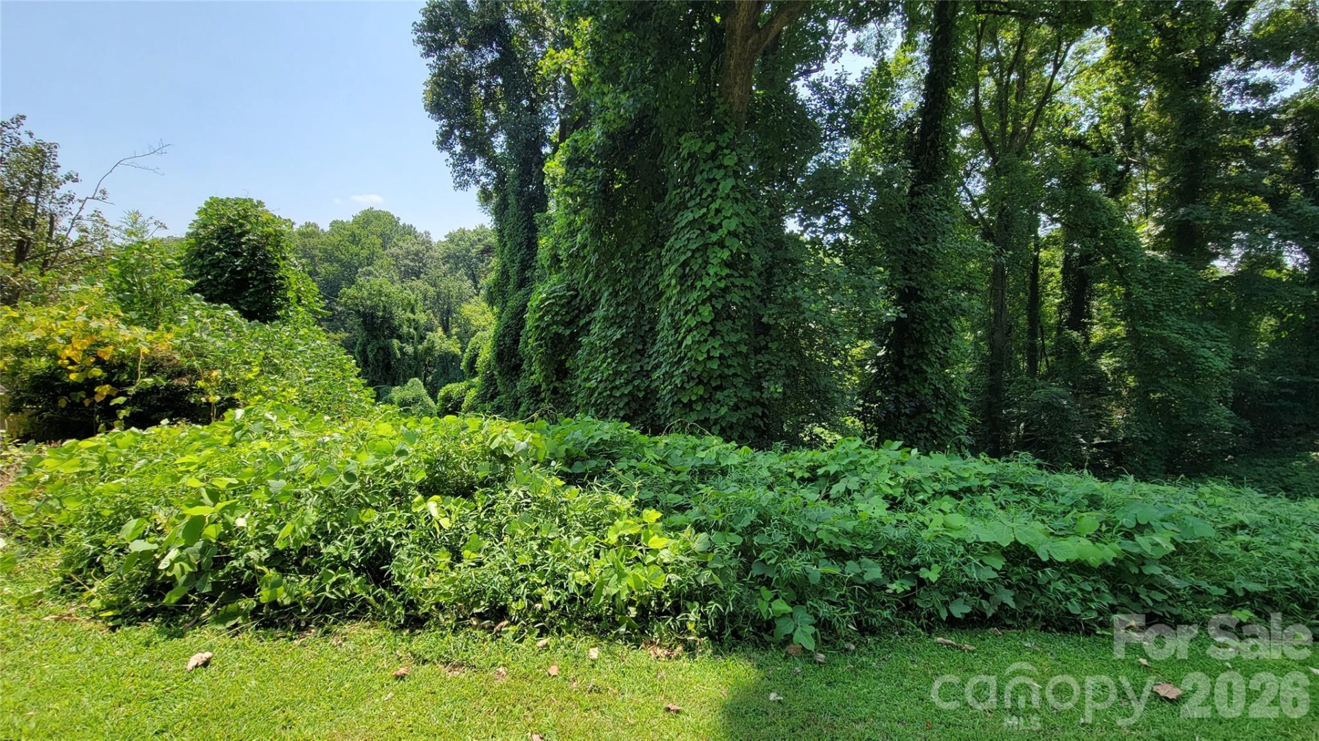 160 Cleveland Road - Photo 37