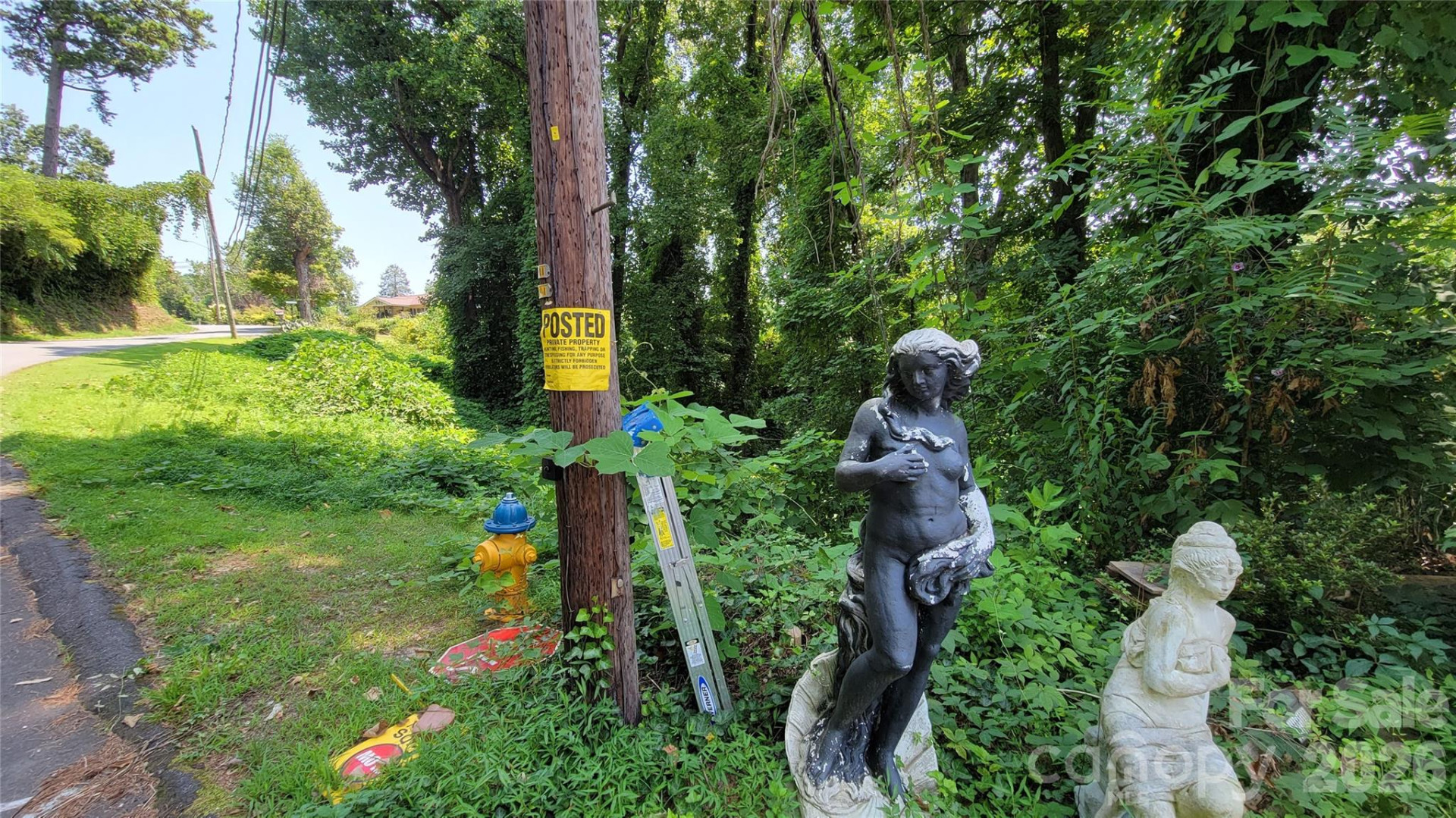 160 Cleveland Road - Photo 38