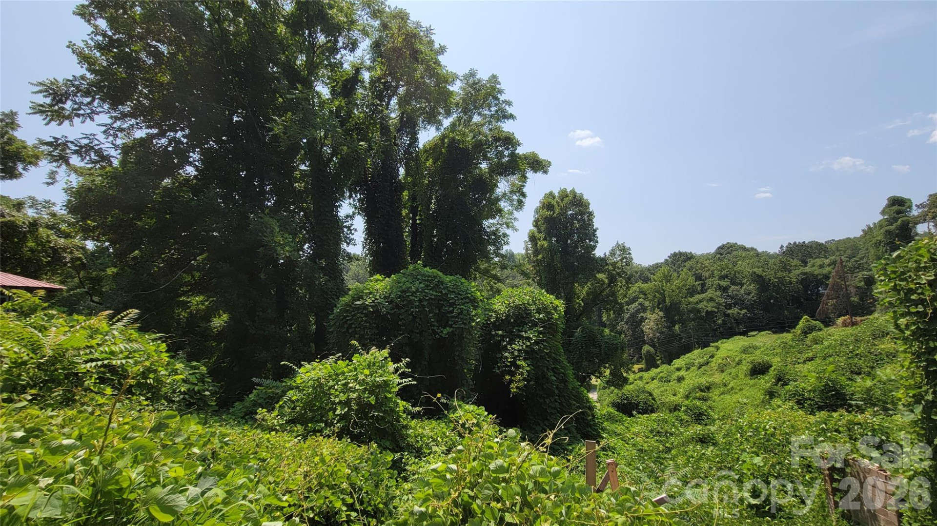 160 Cleveland Road - Photo 39