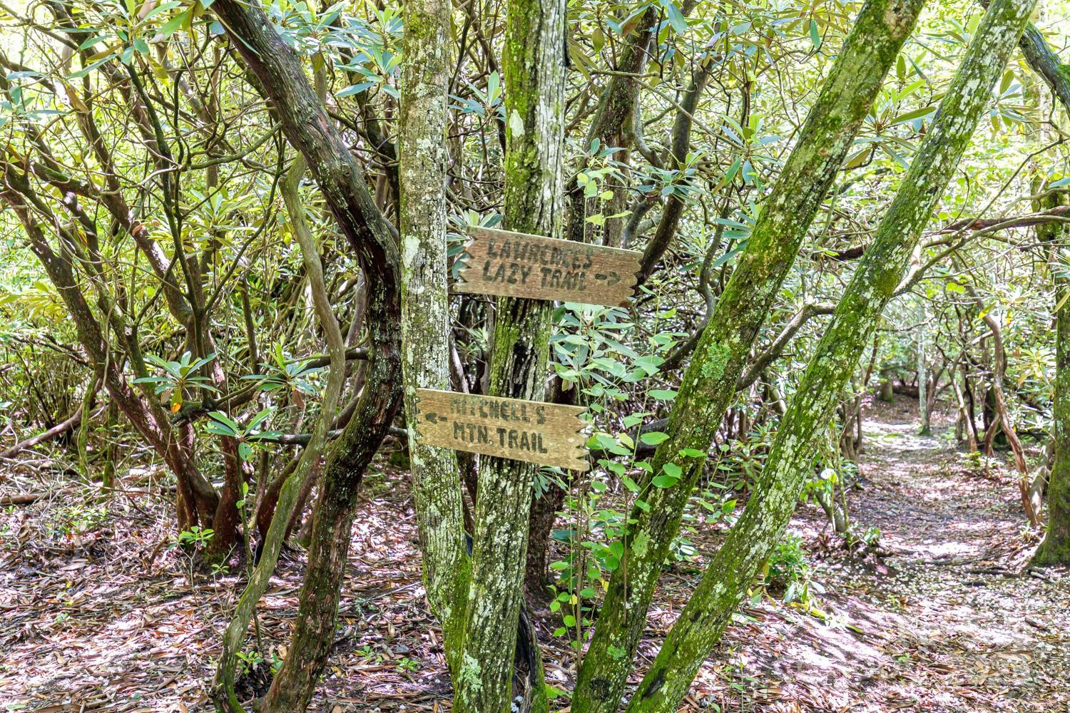 26 Upper Ridge Road - Photo 35