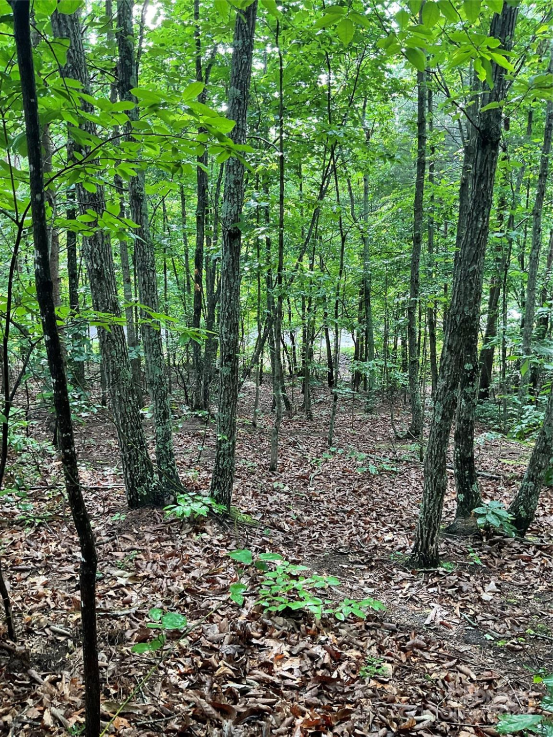 0 Valley View Court - Photo 13