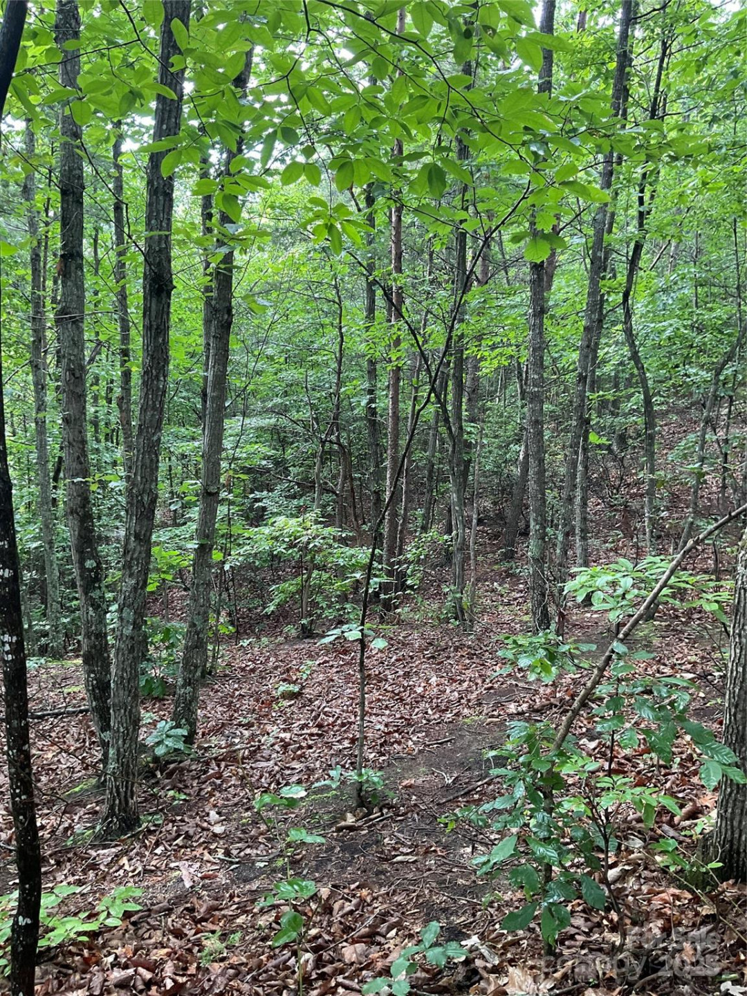 0 Valley View Court - Photo 14