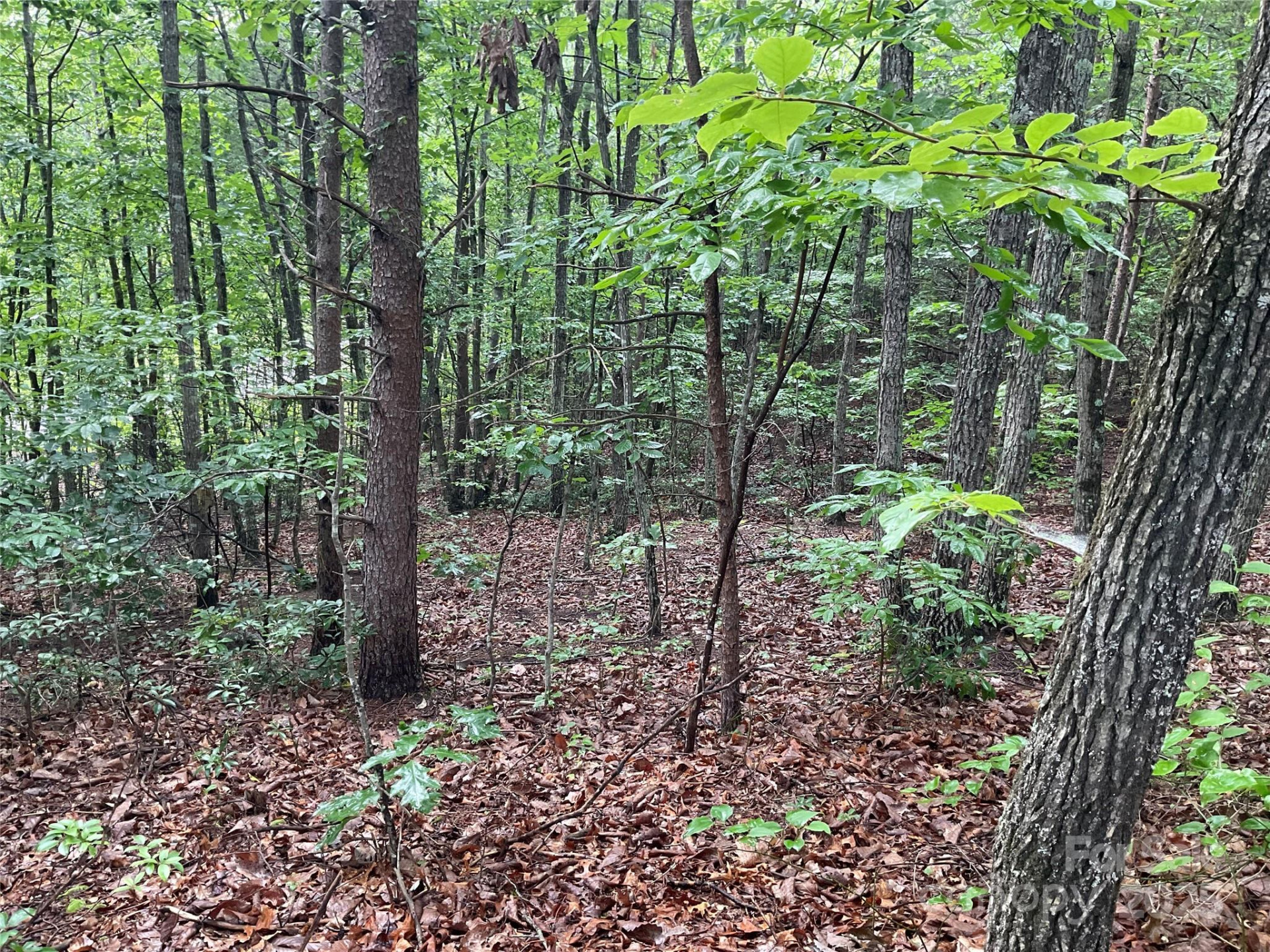 0 Valley View Court - Photo 17