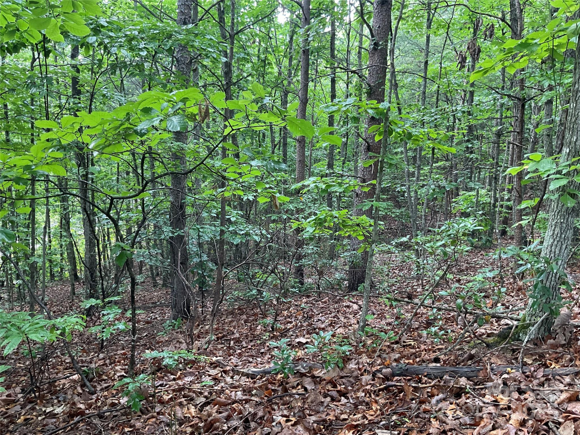 0 Valley View Court - Photo 18