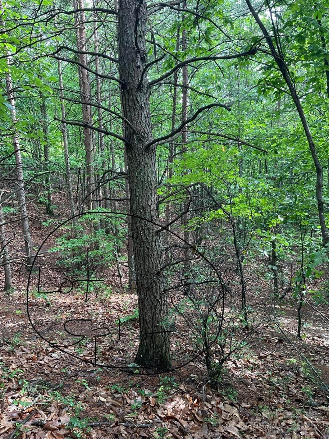 0 Valley View Court - Photo 4