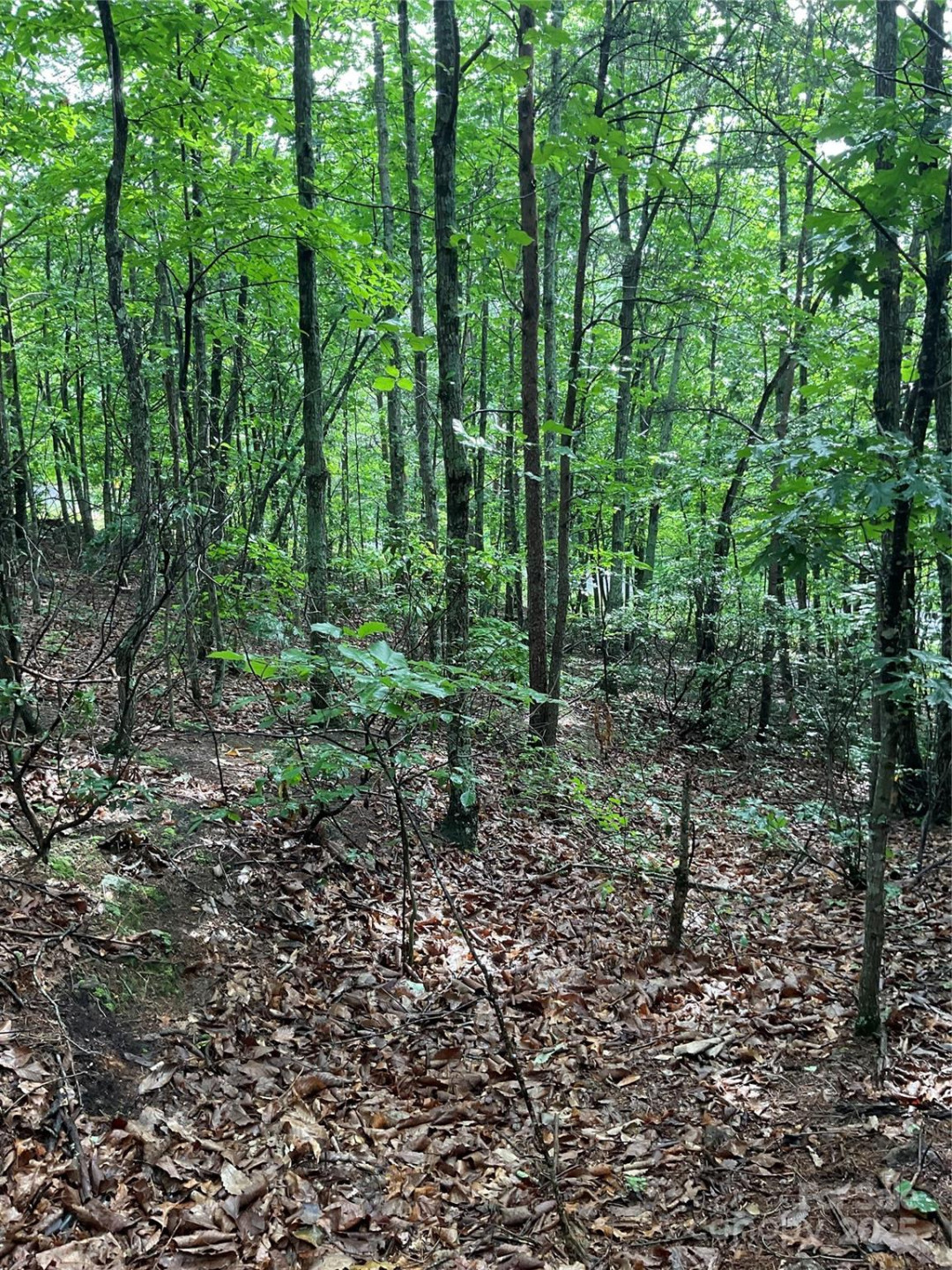 0 Valley View Court - Photo 5