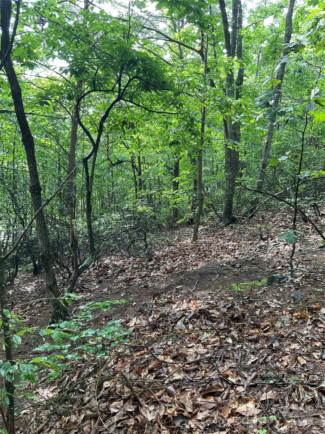 0 Valley View Court - Photo 6