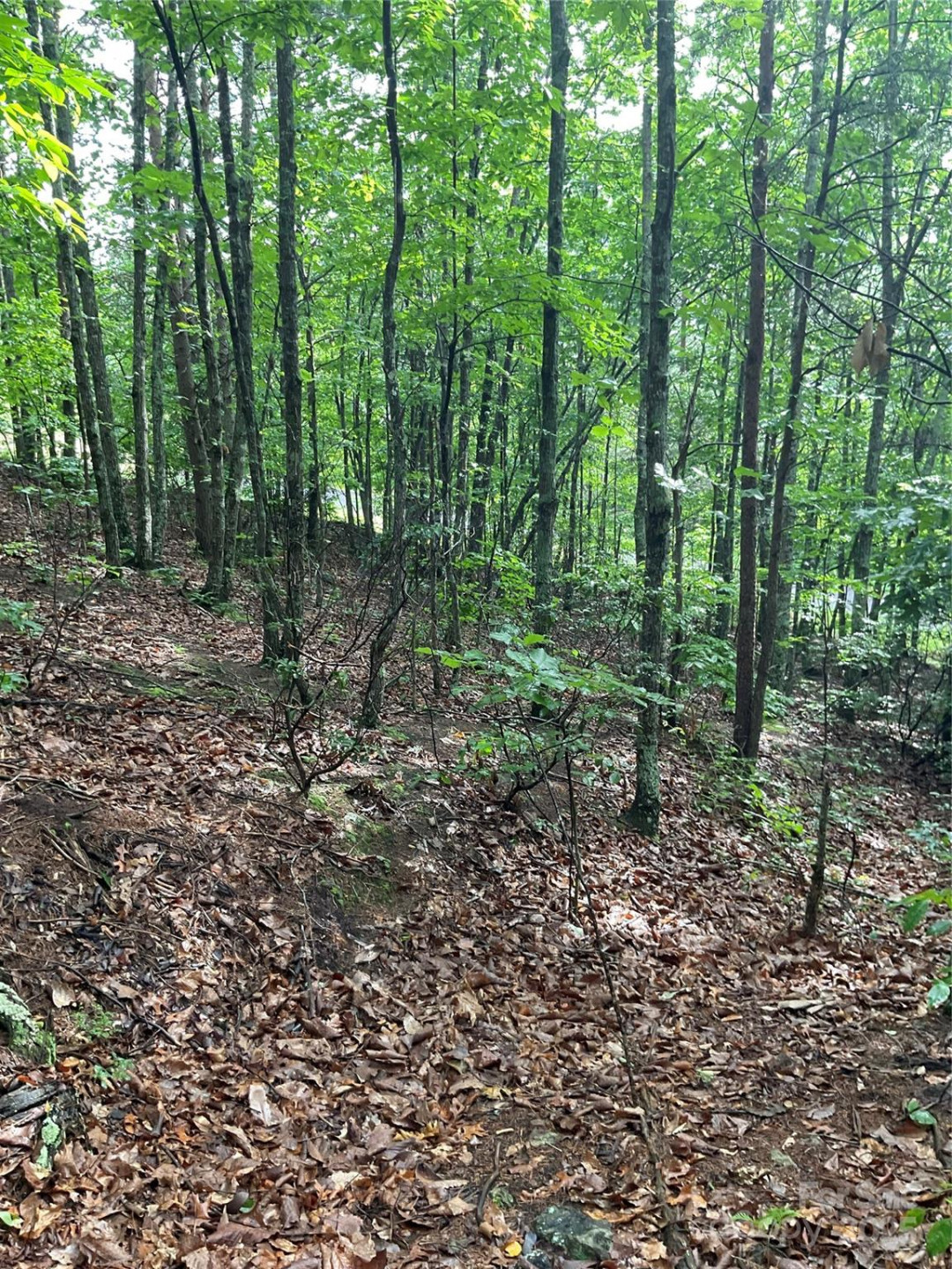 0 Valley View Court - Photo 7