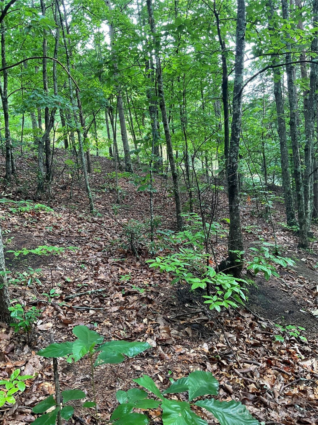 0 Valley View Court - Photo 8