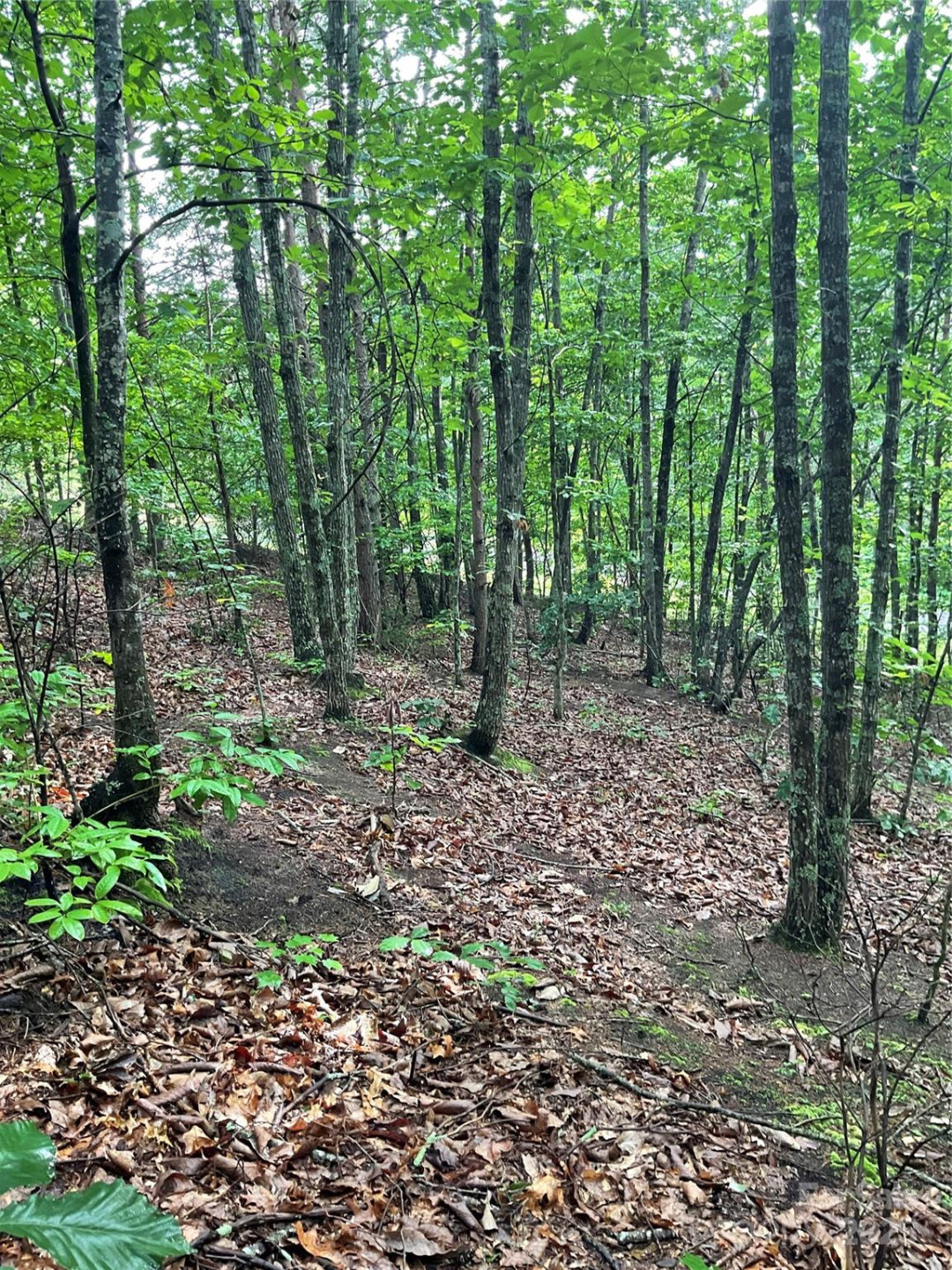 0 Valley View Court - Photo 9