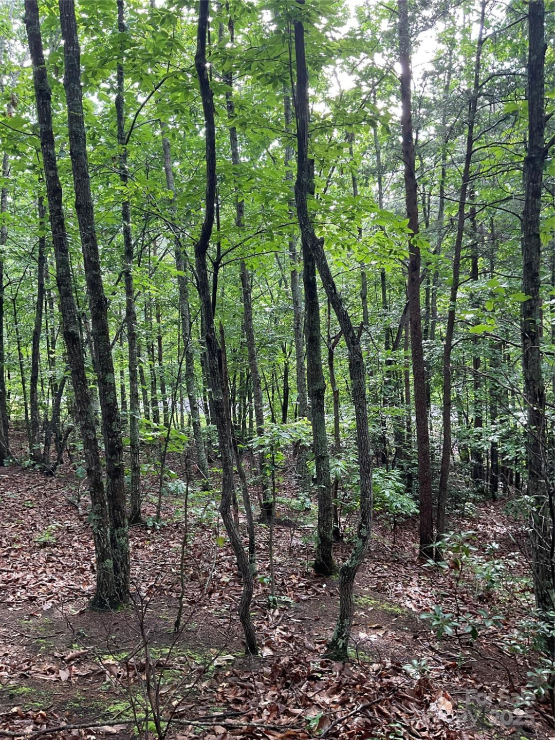 0 Valley View Court - Photo 10