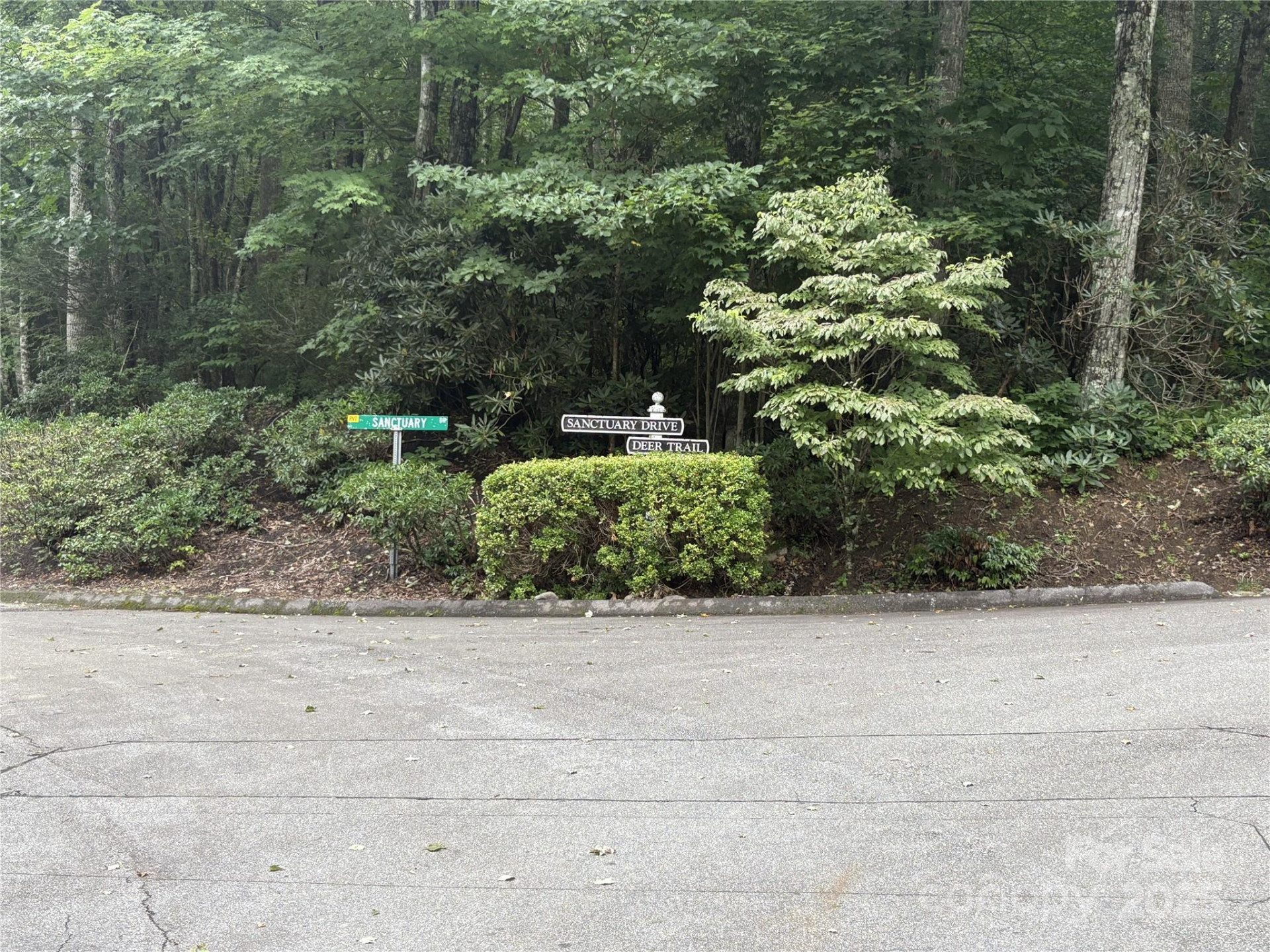 40 Sanctuary Drive - Photo 36