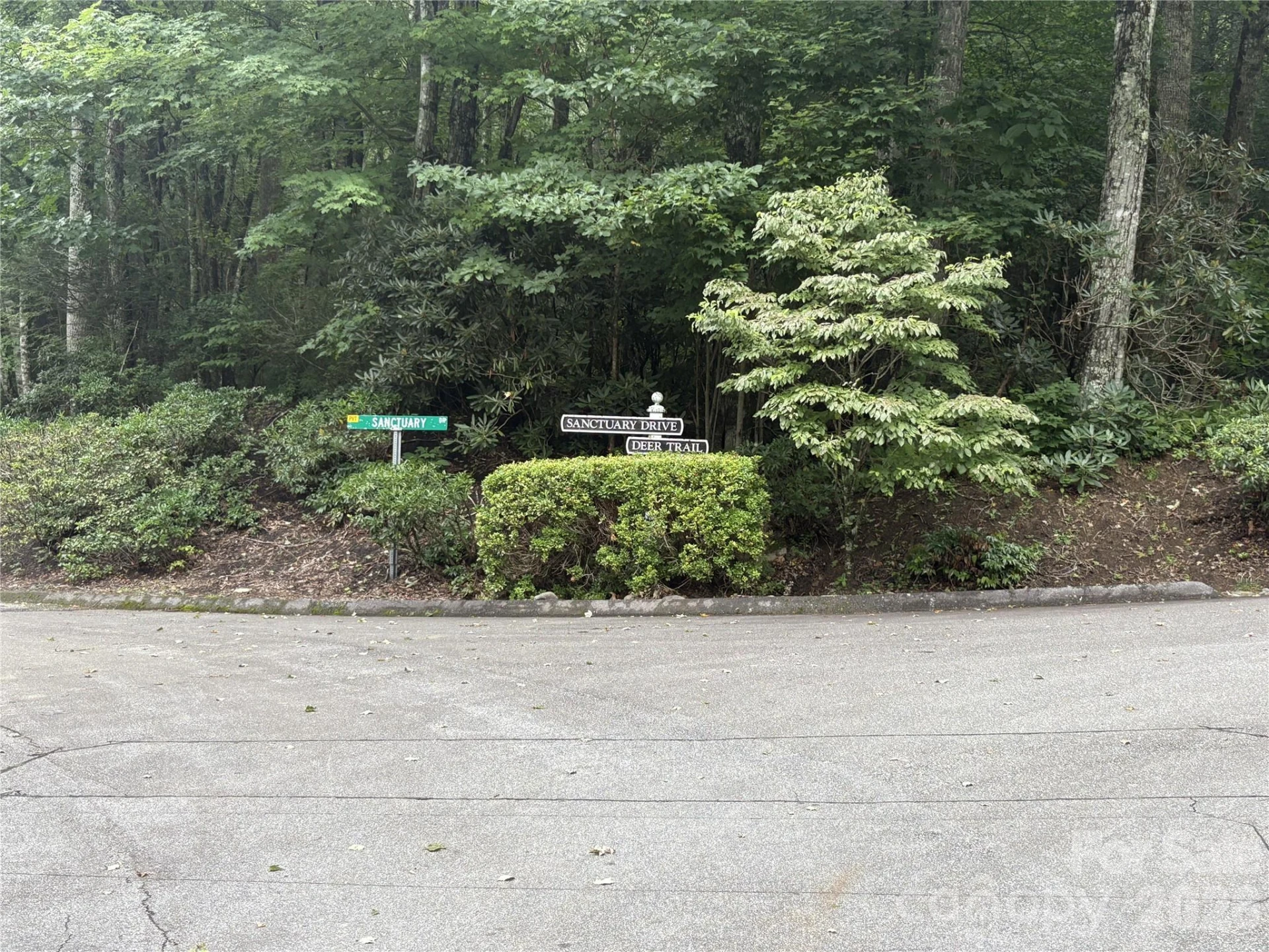 40 Sanctuary Drive - Photo 37