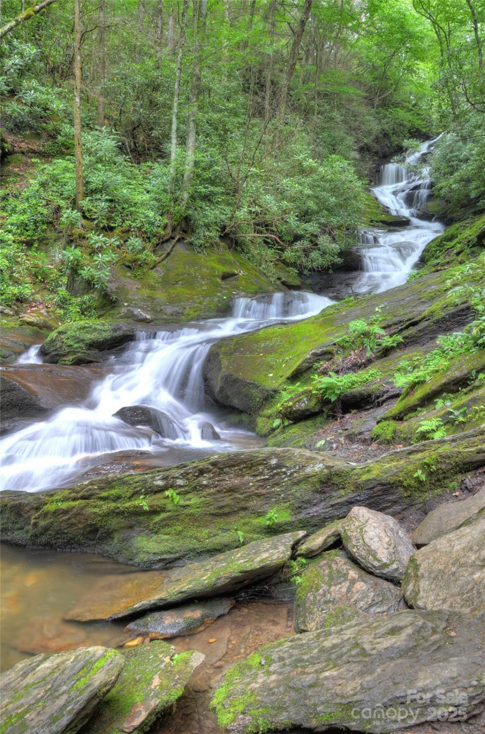 40 Sanctuary Drive - Photo 38