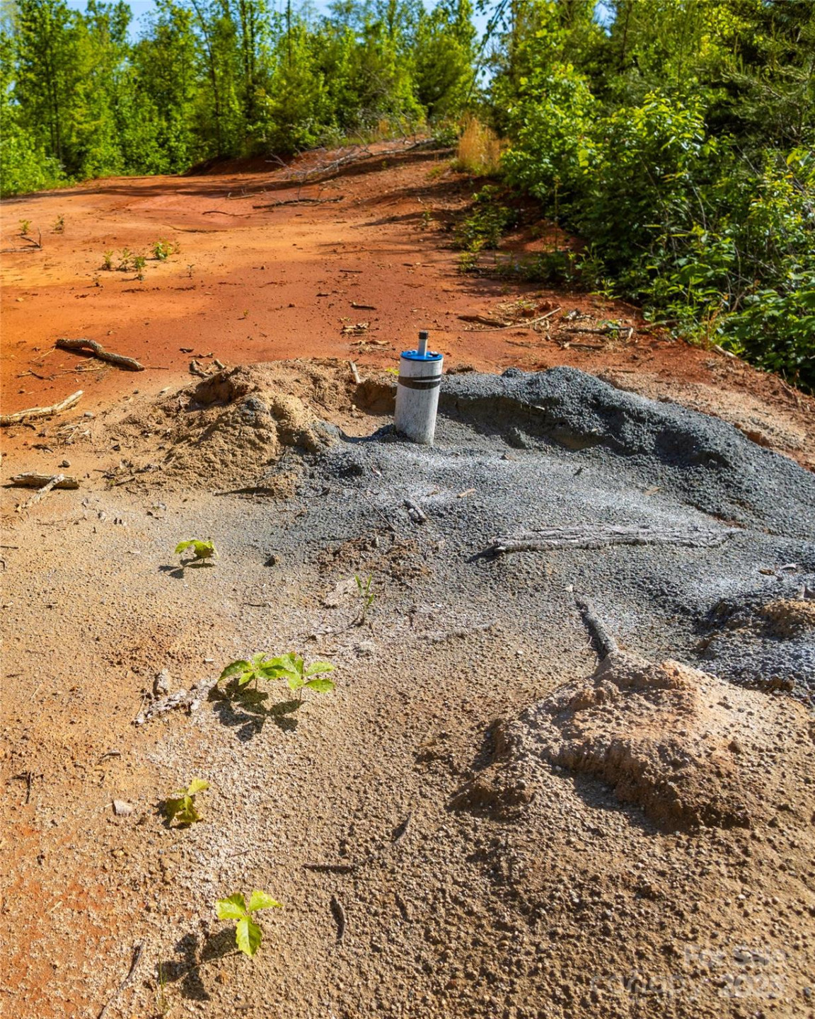 1 Constant Lane - Photo 11