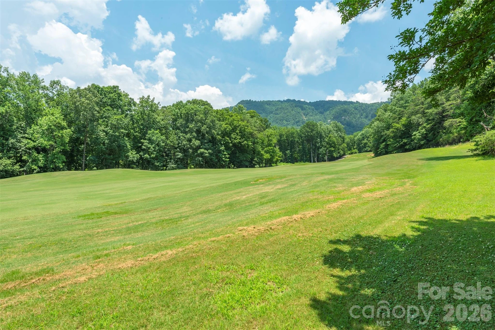 141 Courtland Court - Photo 31