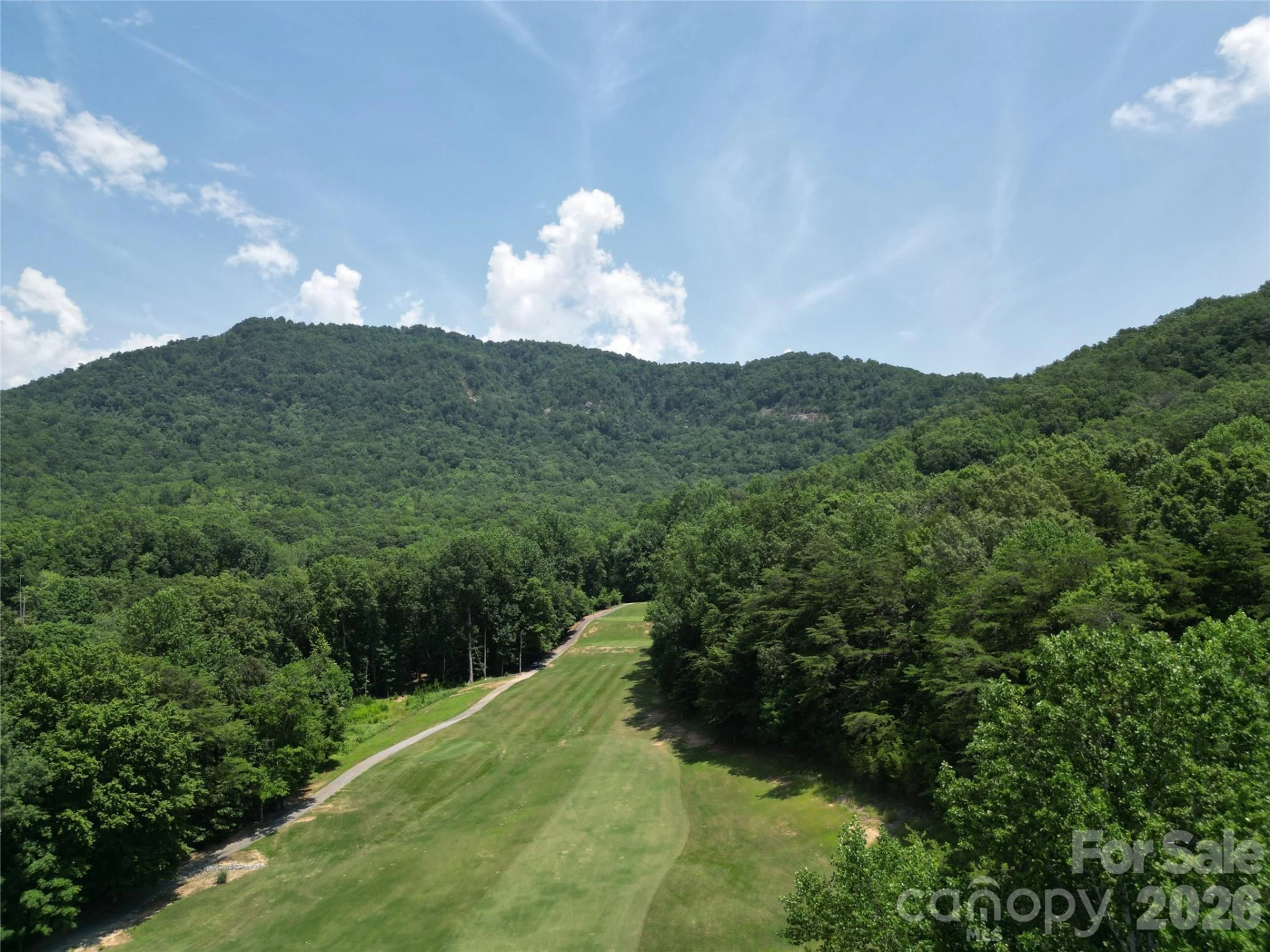 141 Courtland Court - Photo 75