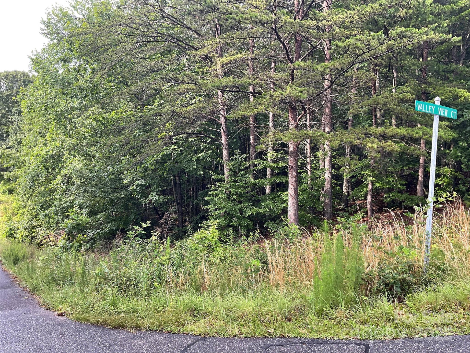 0 Pineknoll Drive - Photo 2