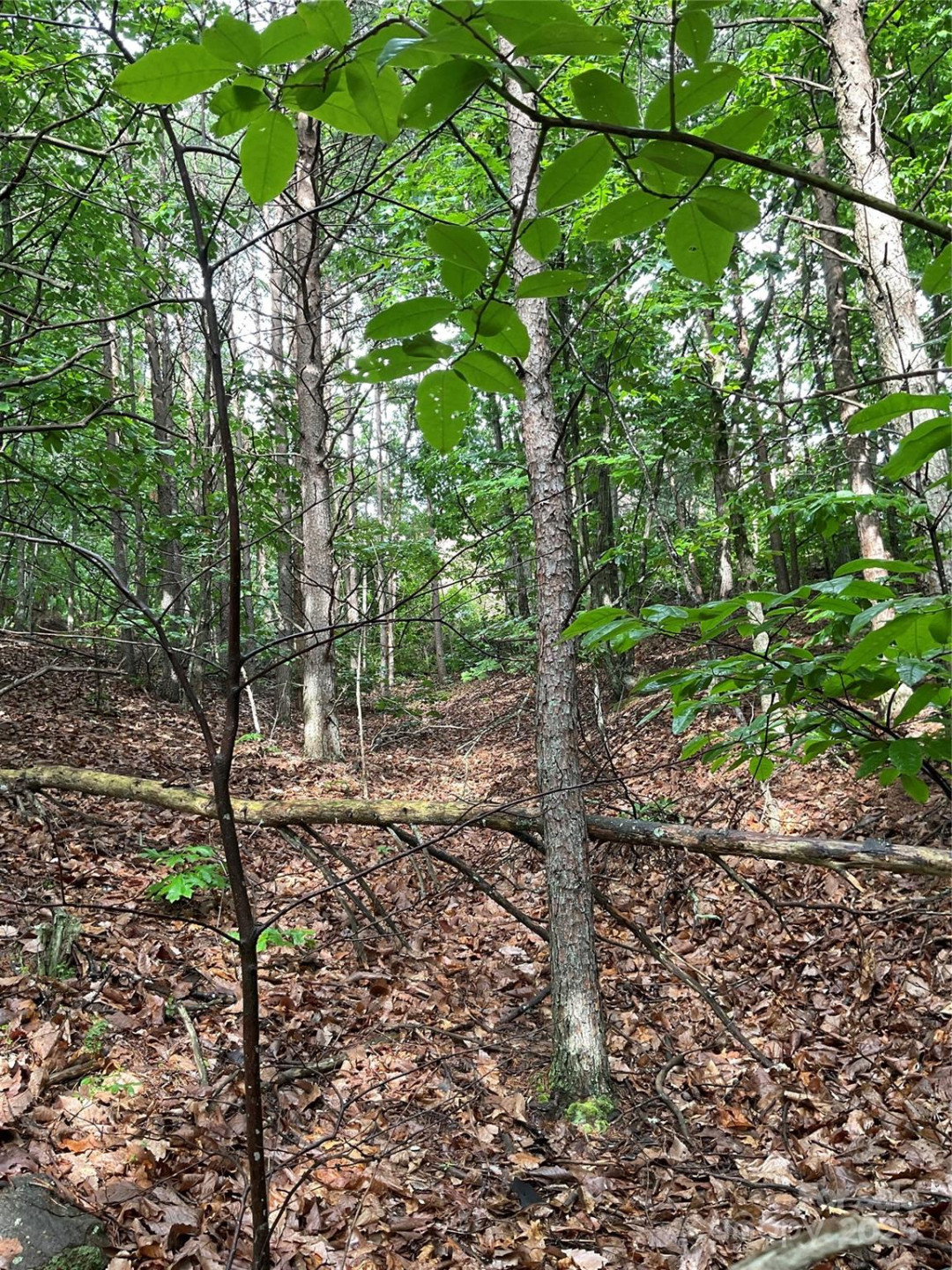 0 Pineknoll Drive - Photo 13