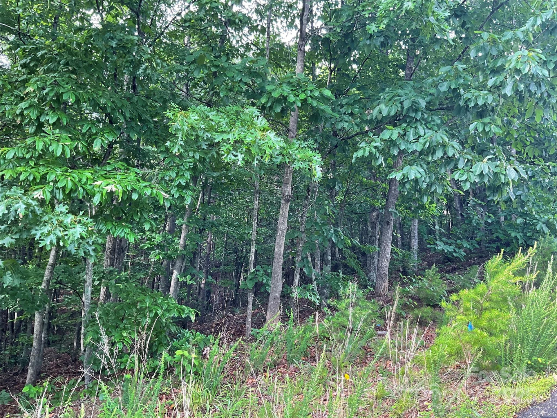 0 Pineknoll Drive - Photo 15