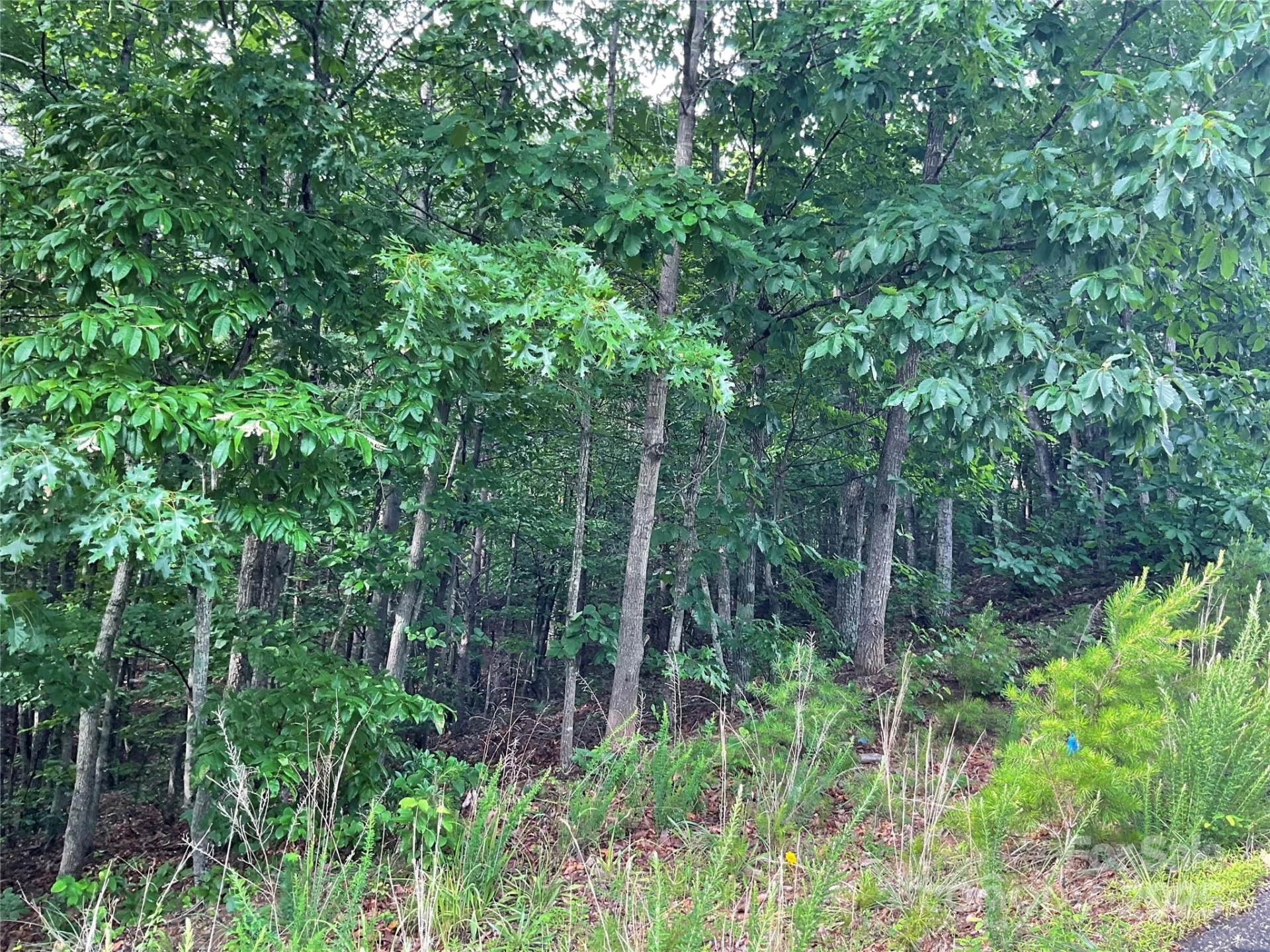 0 Pineknoll Drive - Photo 15