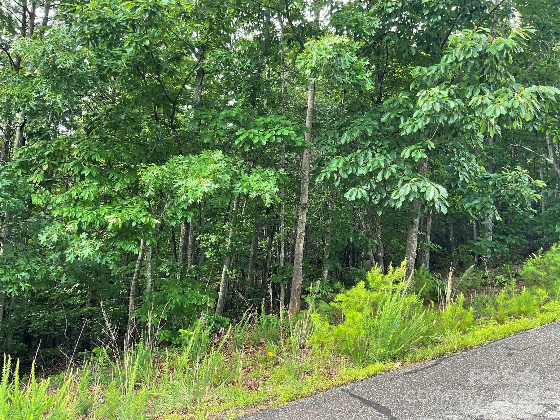 0 Pineknoll Drive - Photo 16