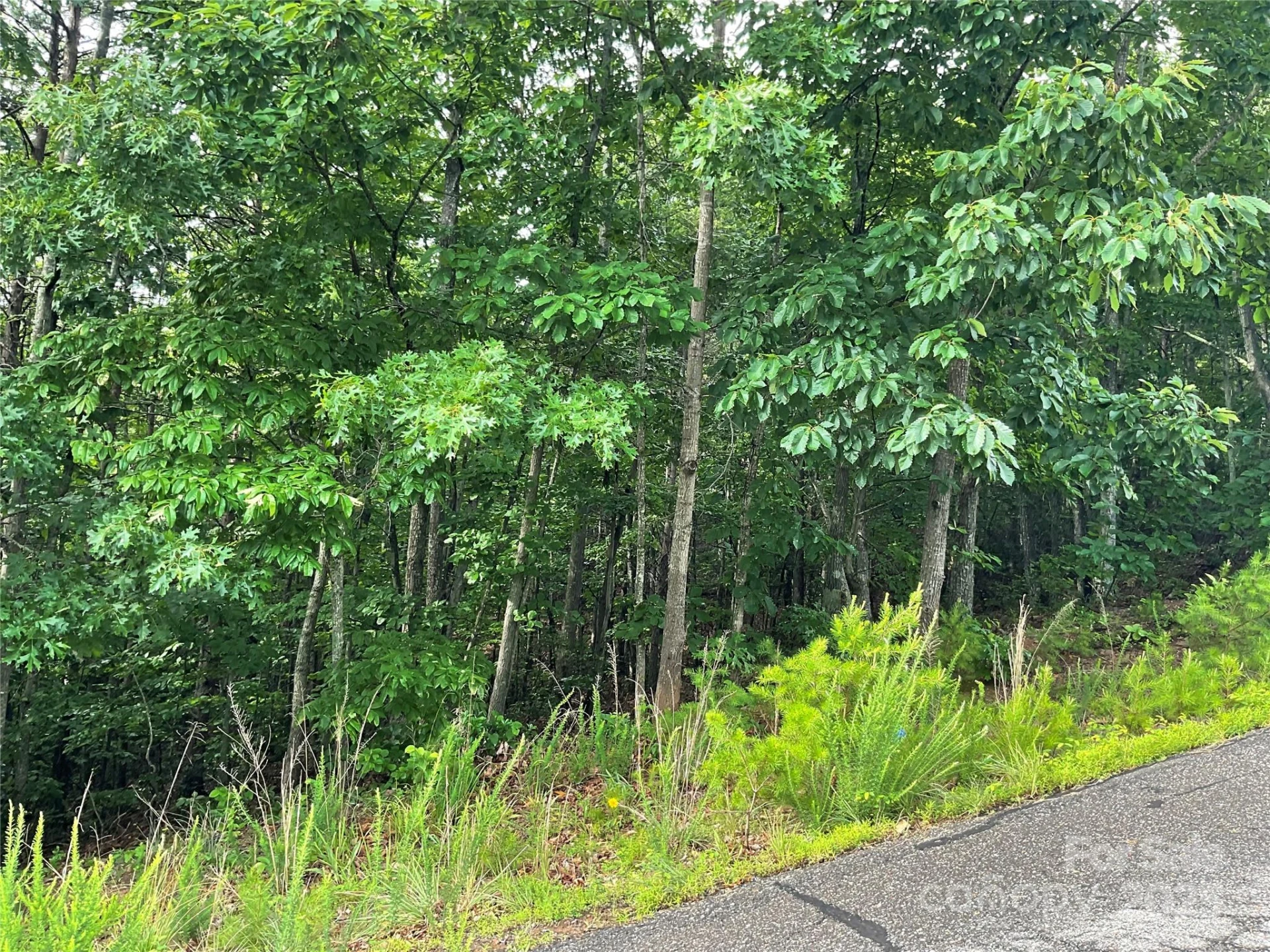 0 Pineknoll Drive - Photo 16