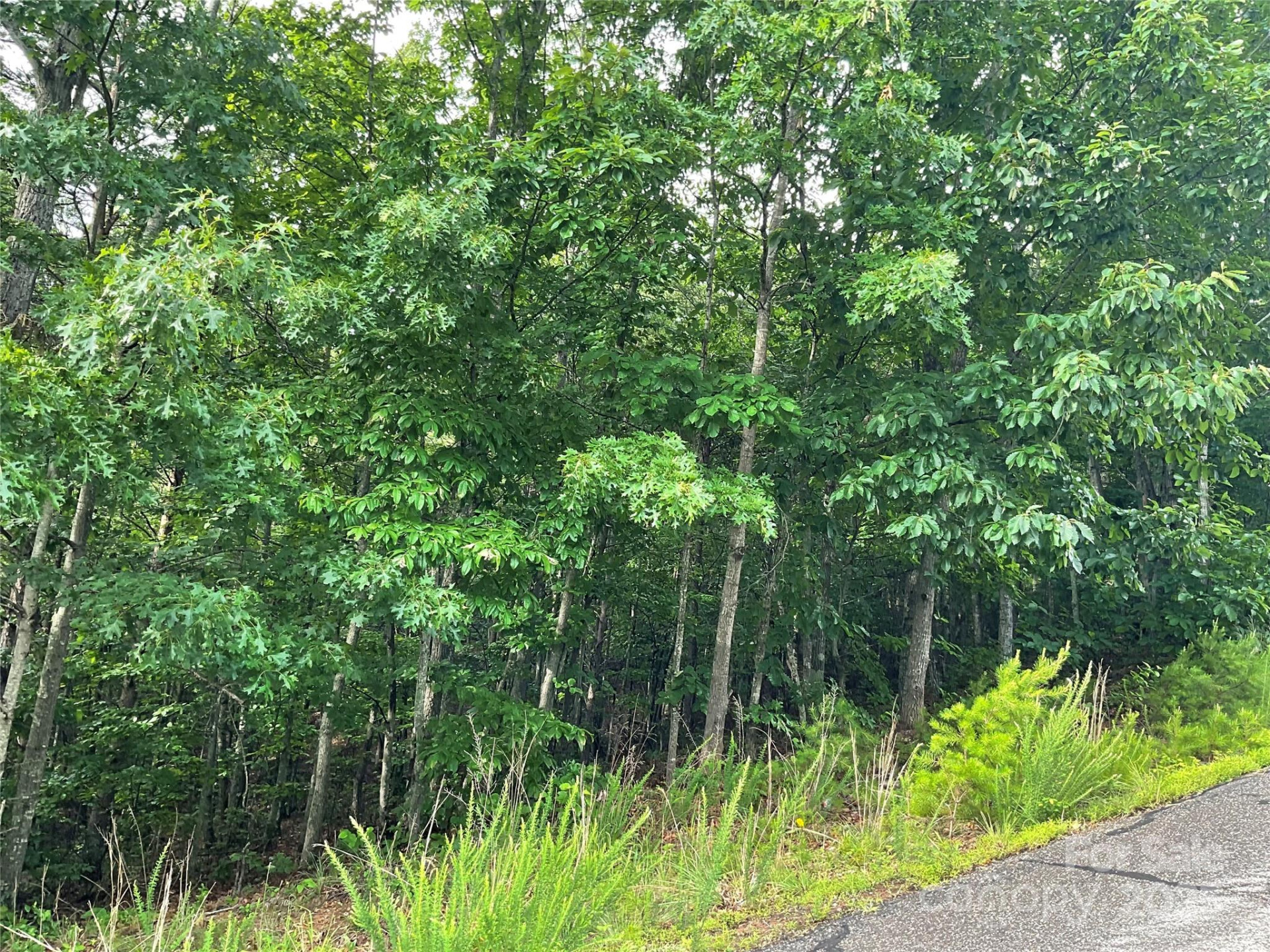 0 Pineknoll Drive - Photo 17