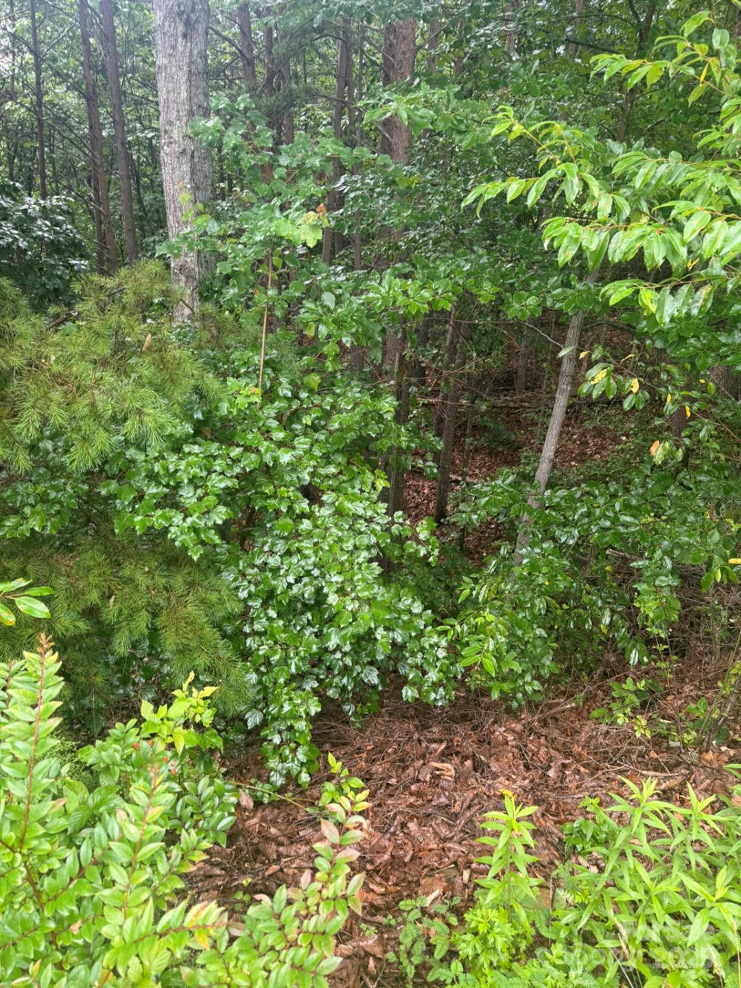 0 Pineknoll Drive - Photo 19