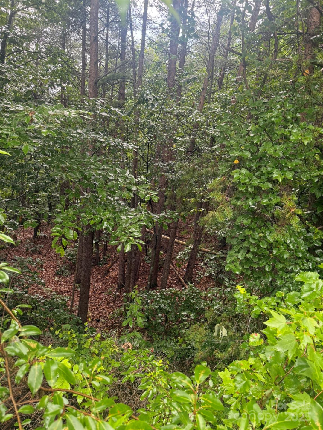 0 Pineknoll Drive - Photo 20