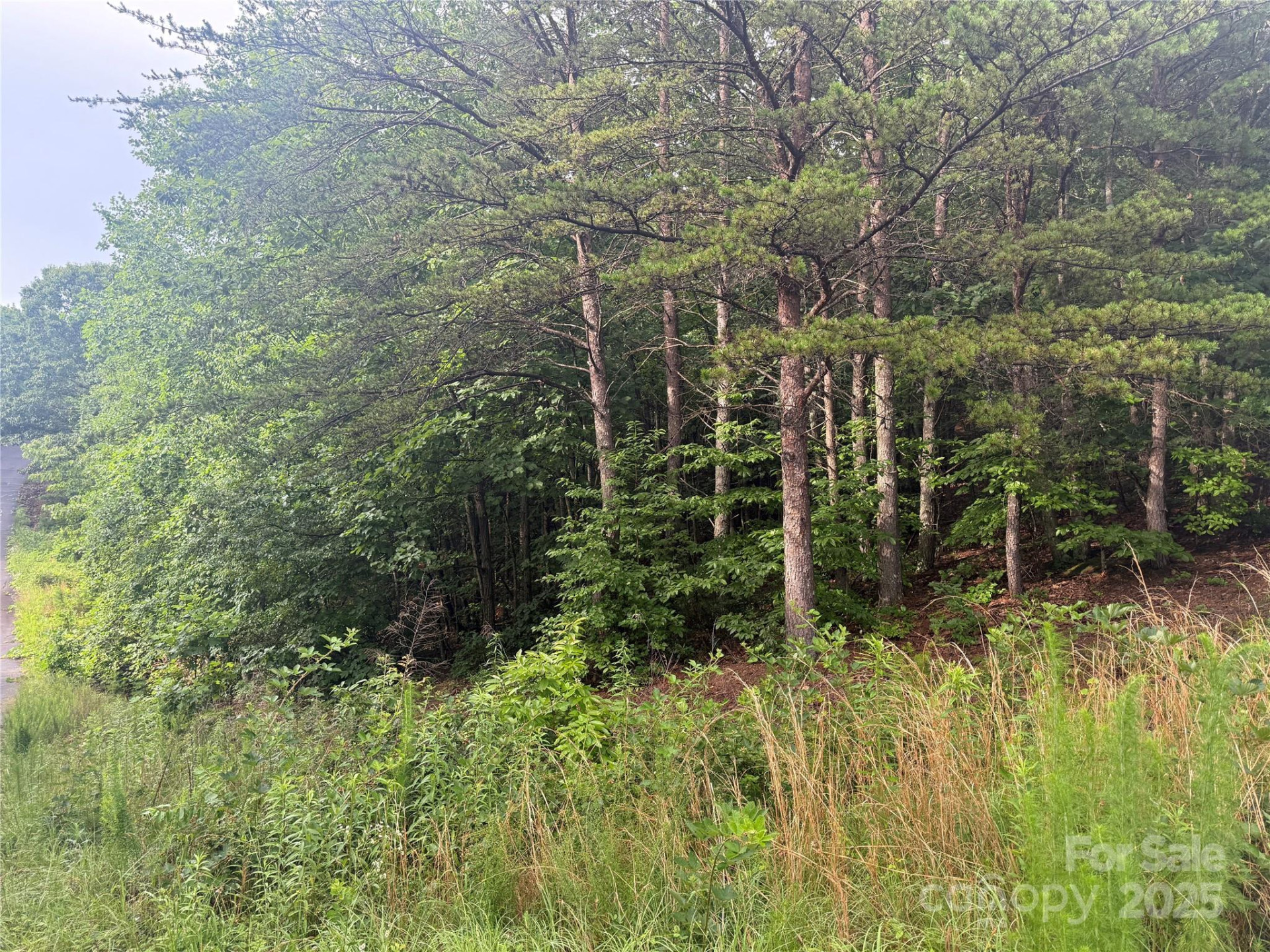 0 Pineknoll Drive - Photo 3