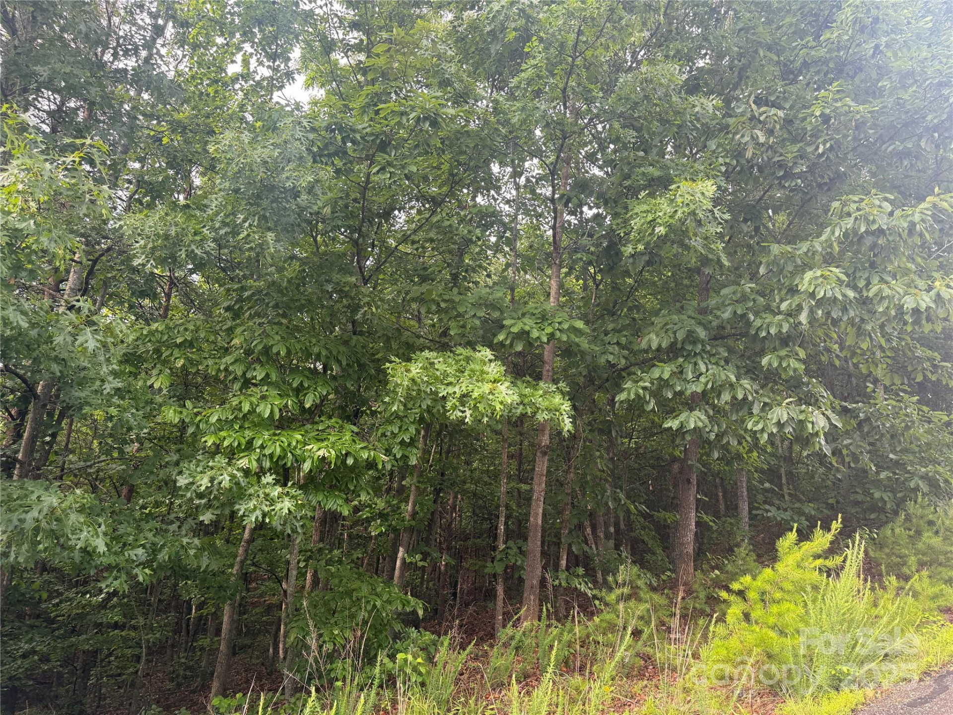 0 Pineknoll Drive - Photo 22