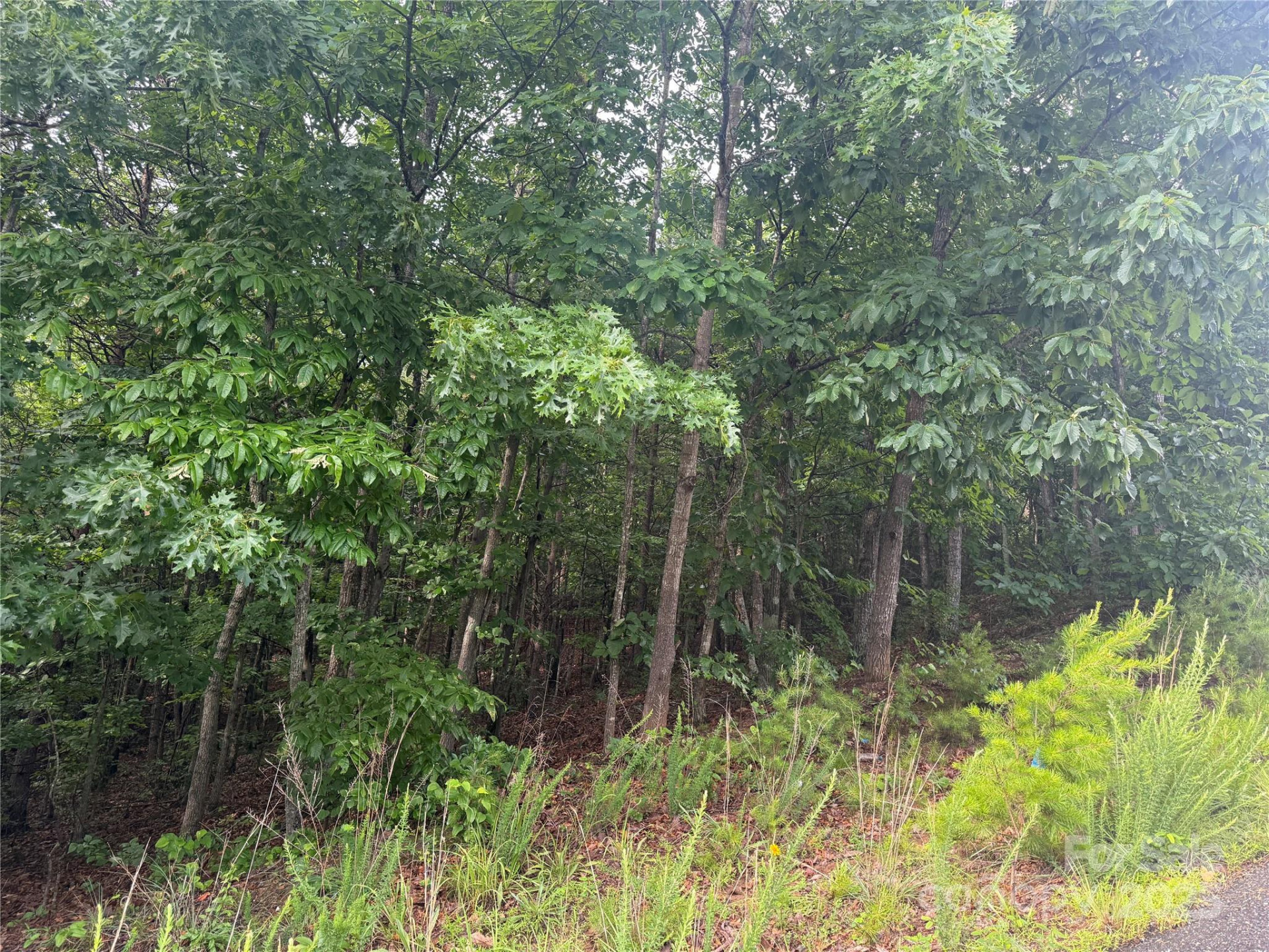 0 Pineknoll Drive - Photo 23