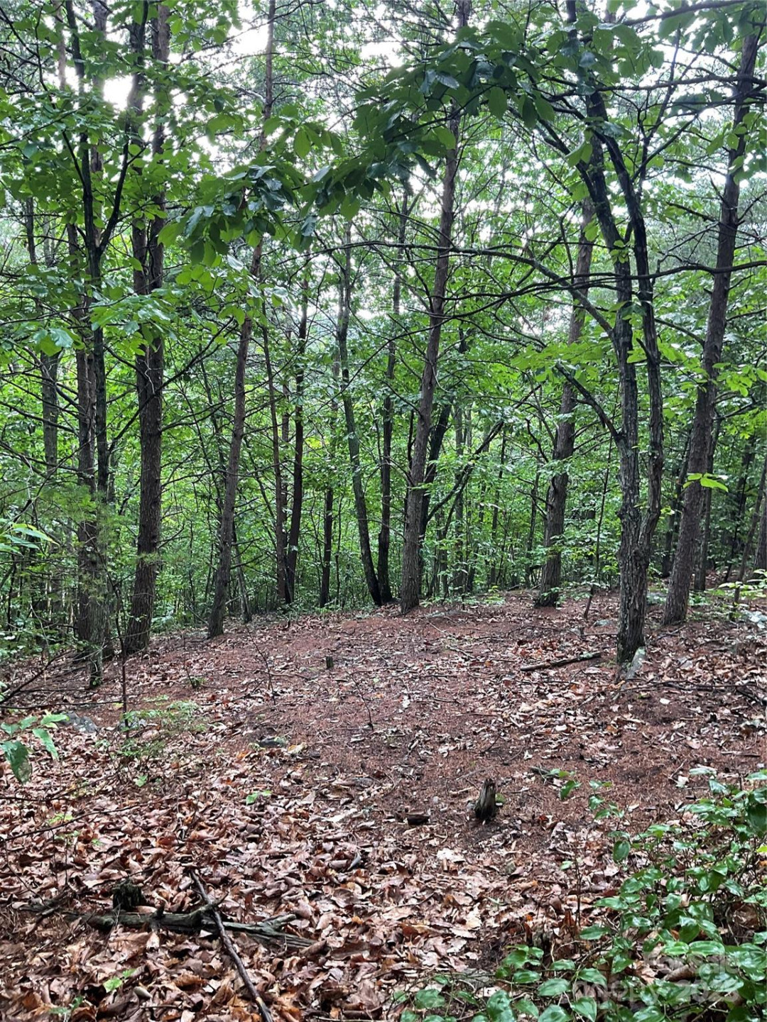 0 Pineknoll Drive - Photo 7