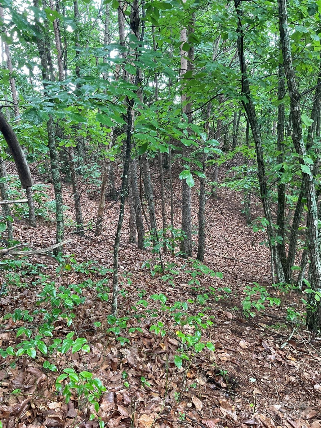 0 Pineknoll Drive - Photo 8