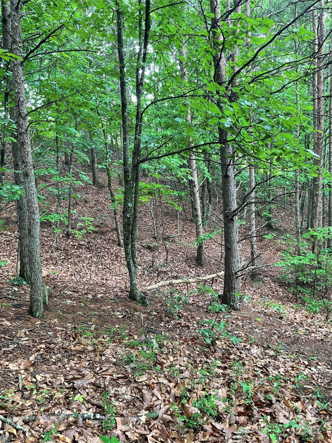 0 Pineknoll Drive - Photo 9