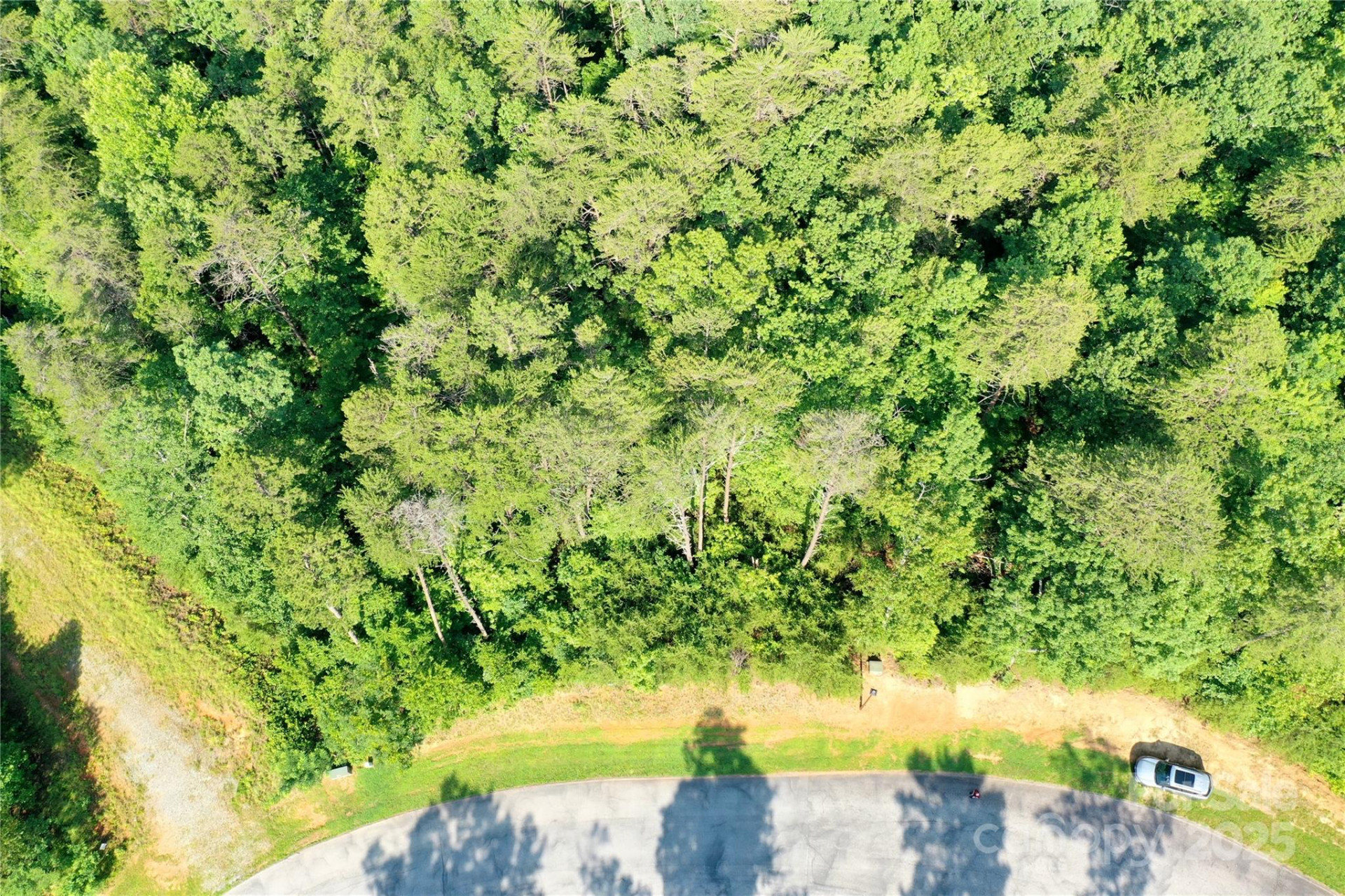 241 Rock Ledge Drive - Photo 3