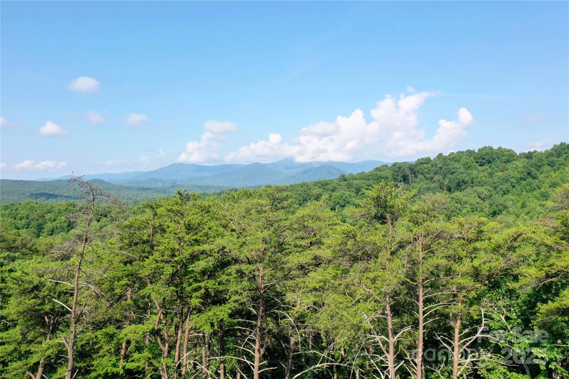 241 Rock Ledge Drive - Photo 28