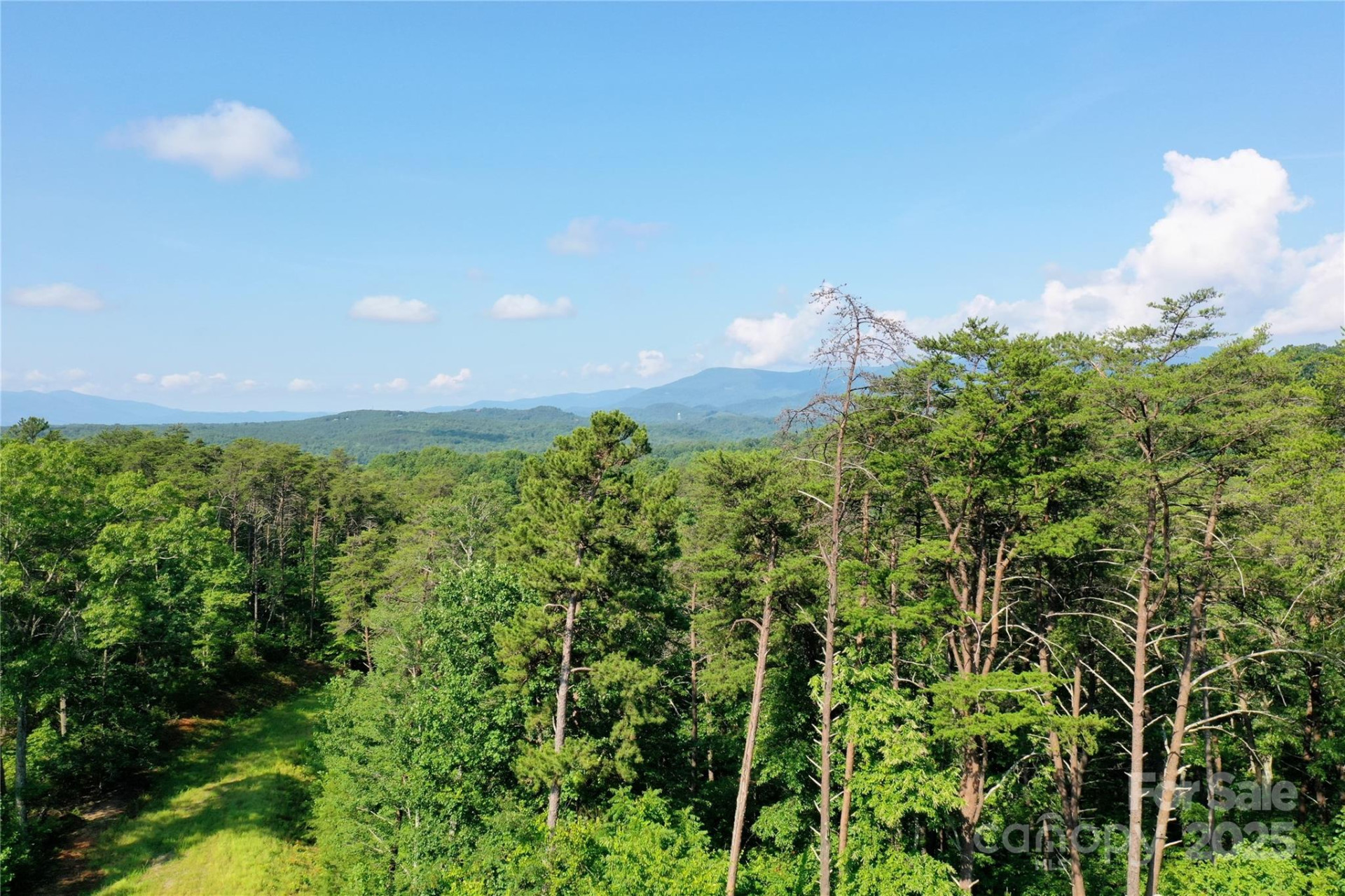 241 Rock Ledge Drive - Photo 6