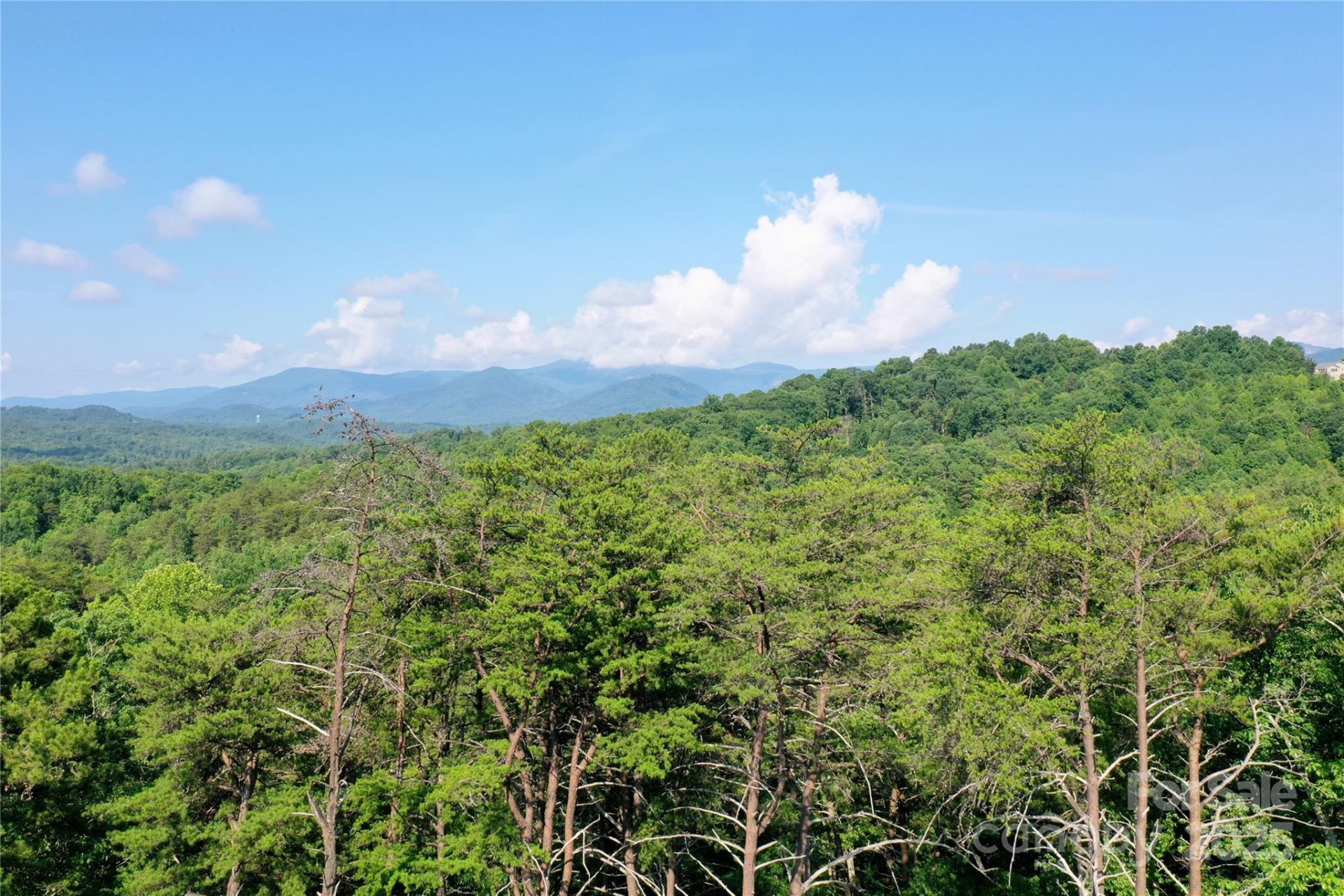 241 Rock Ledge Drive - Photo 7