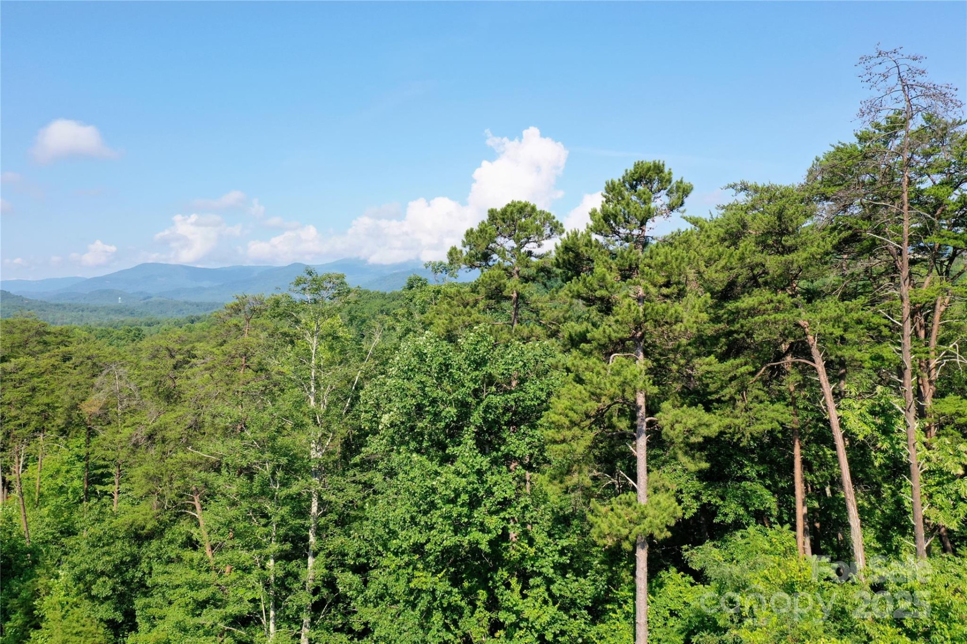 241 Rock Ledge Drive - Photo 9